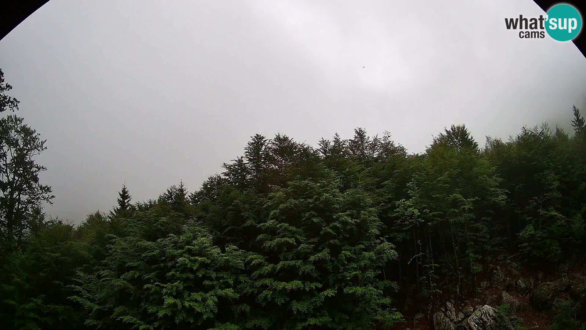 Webcam PLANINA RAZOR (1315) | Blick auf Vogel und Globoko