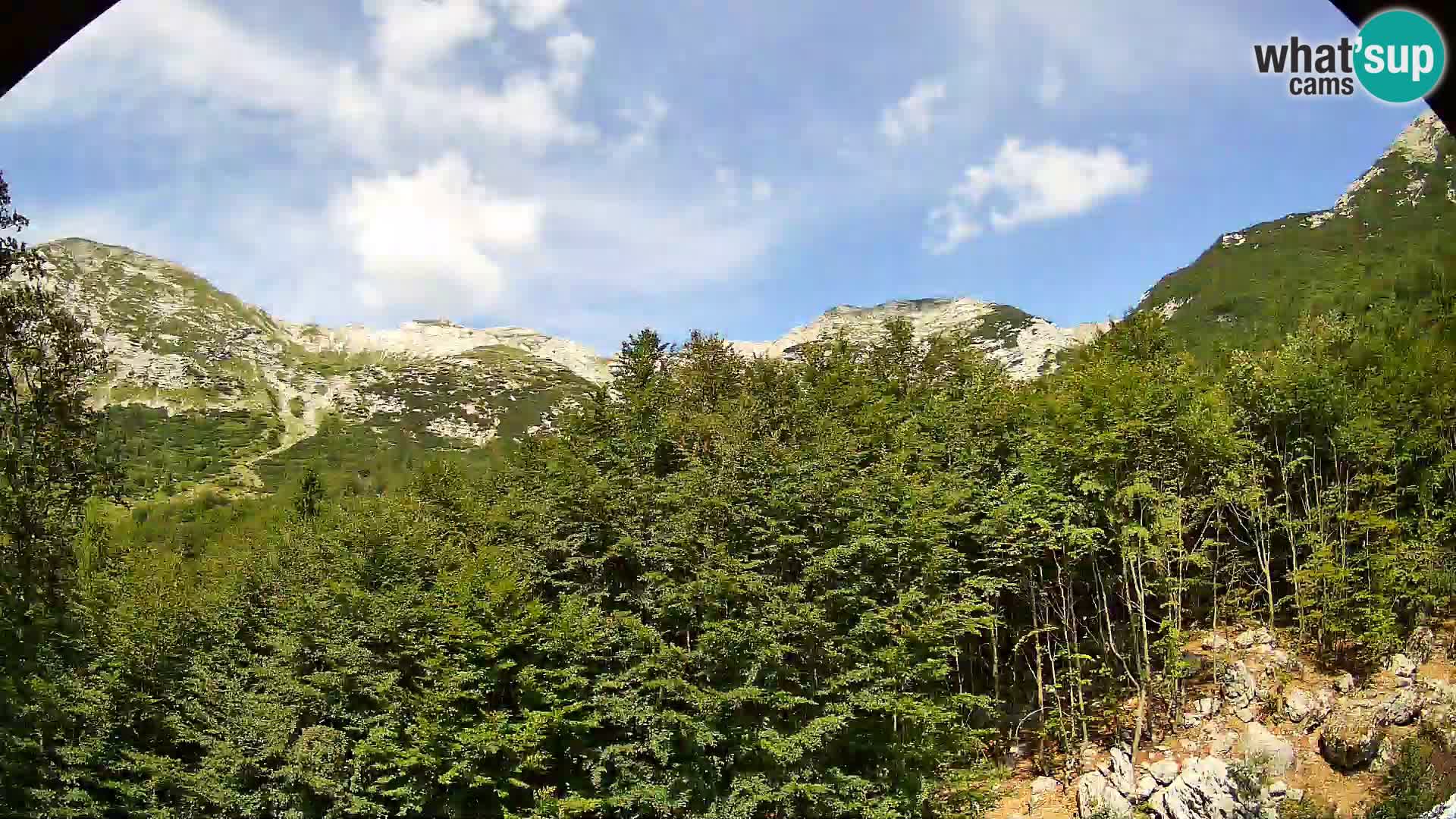 Cámara web PLANINA RAZOR (1315) | vista a Vogel y Globoko