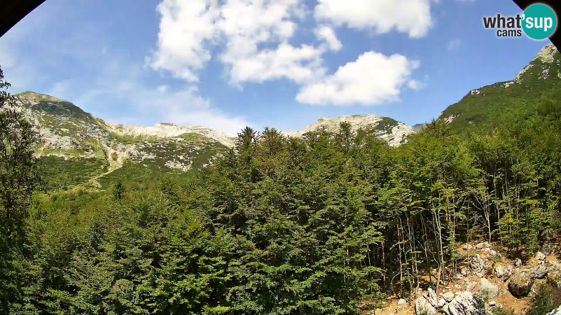 PLANINA RAZOR kamera (1315) | pogled na Vogel in Globoko