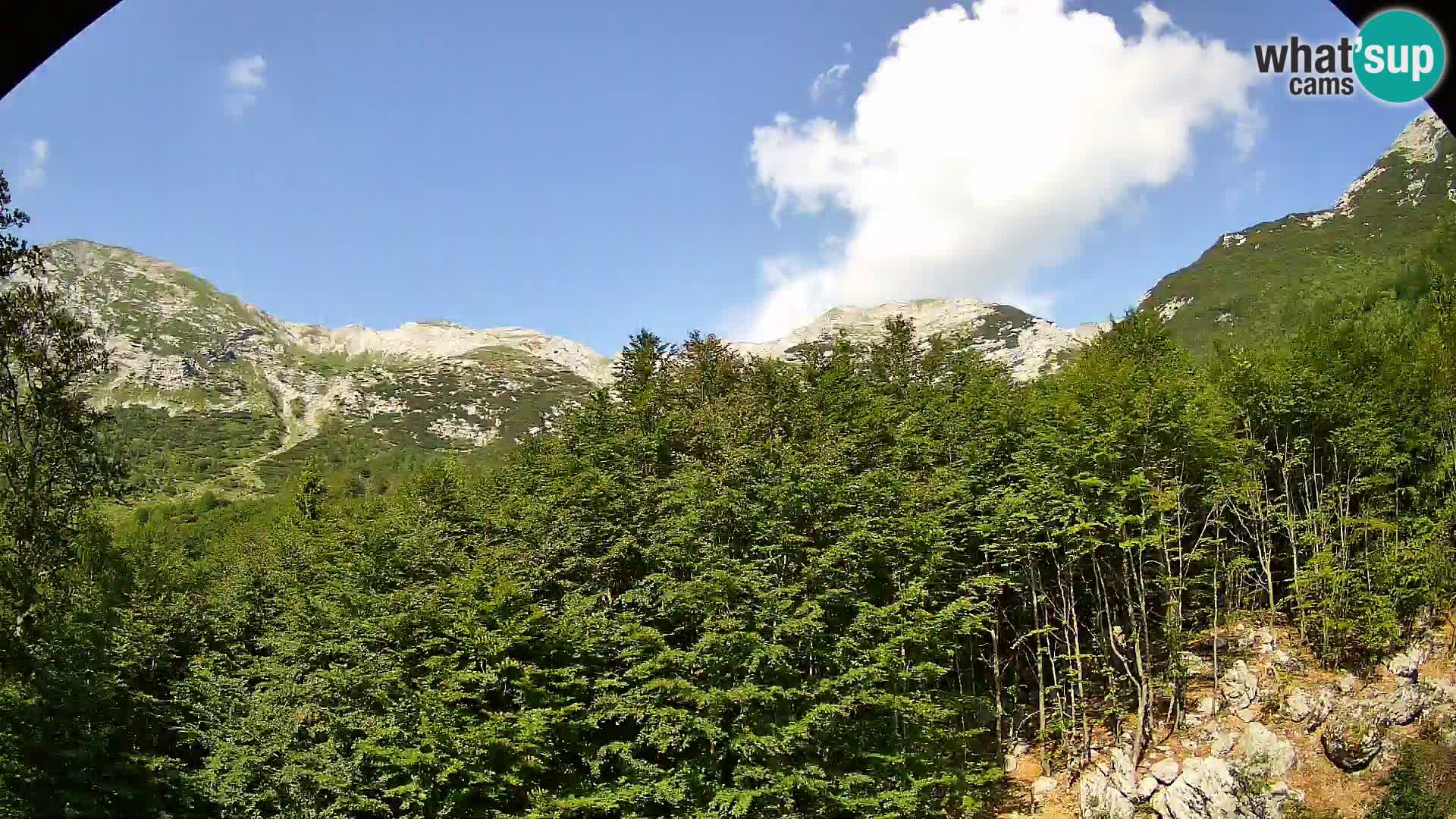 PLANINA RAZOR webcam (1315) | view to Vogel and Globoko
