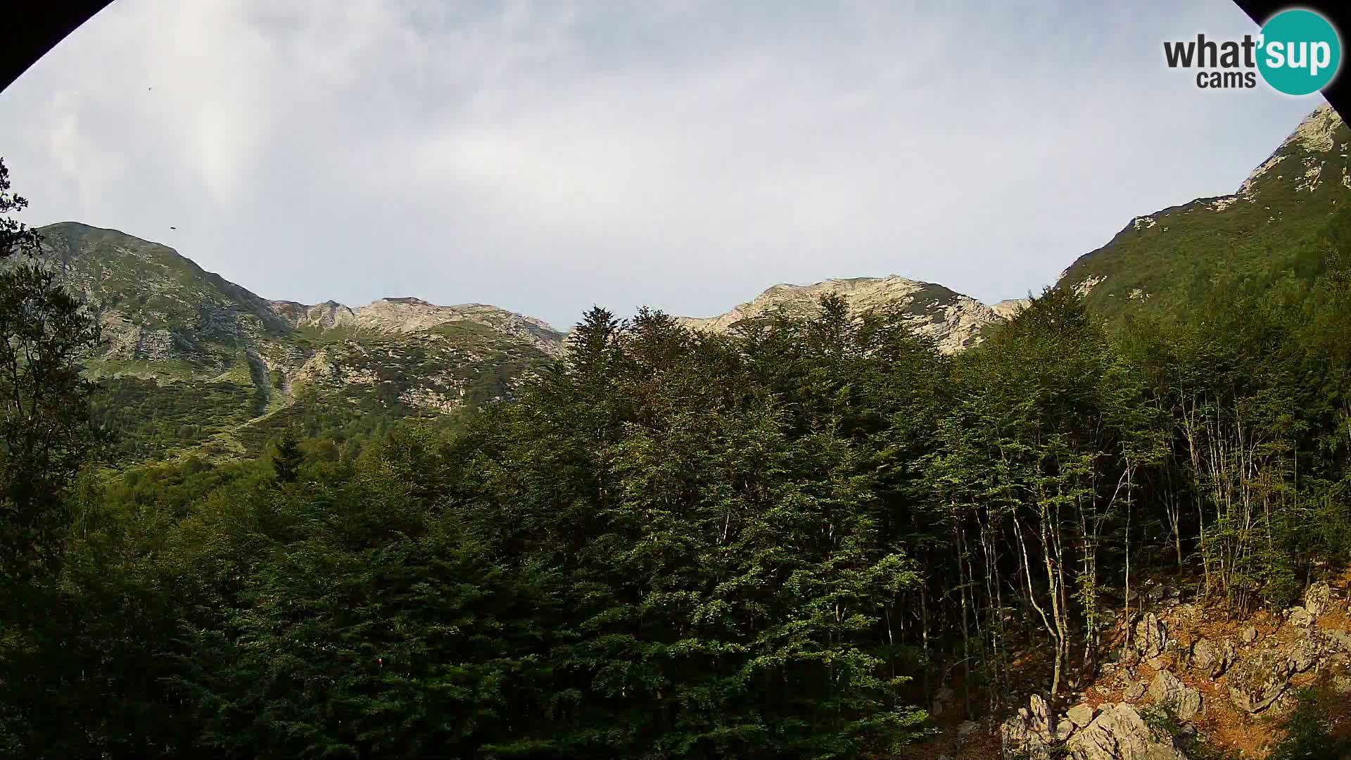 PLANINA RAZOR webcam (1315) | view to Vogel and Globoko
