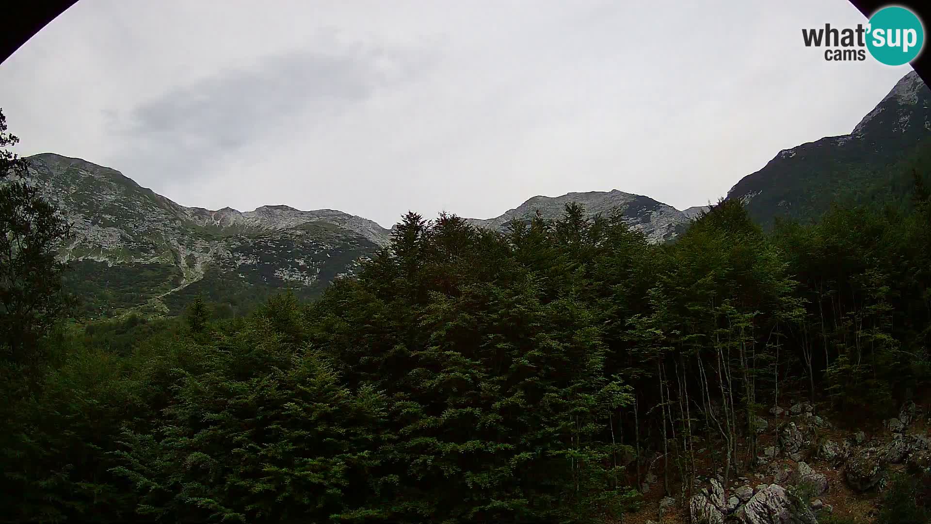 PLANINA RAZOR webcam (1315) | view to Vogel and Globoko
