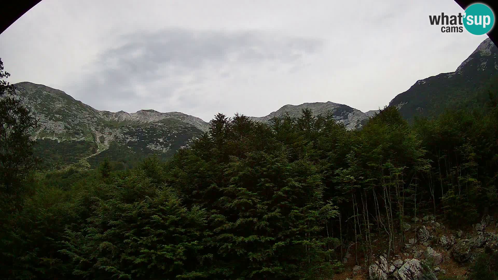 PLANINA RAZOR webcam (1315) | view to Vogel and Globoko