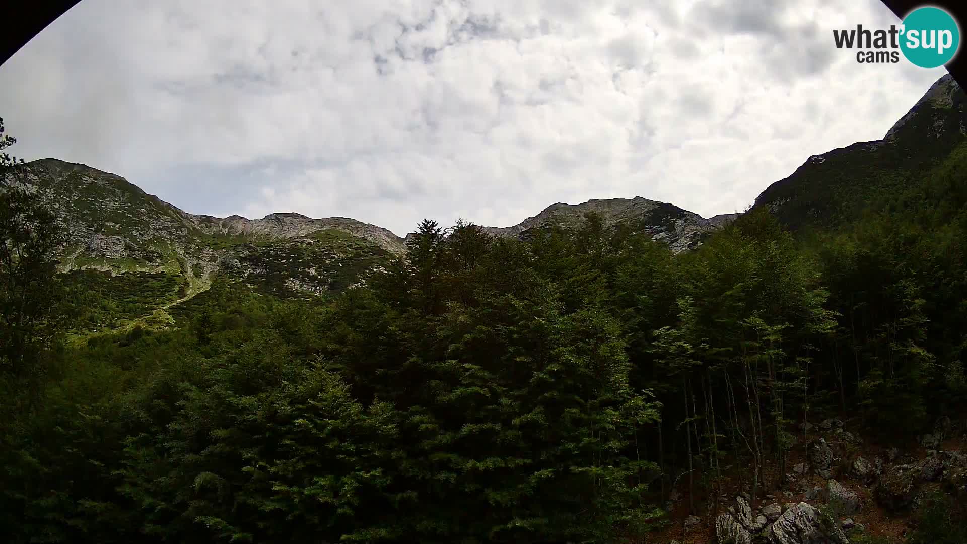Cámara web PLANINA RAZOR (1315) | vista a Vogel y Globoko