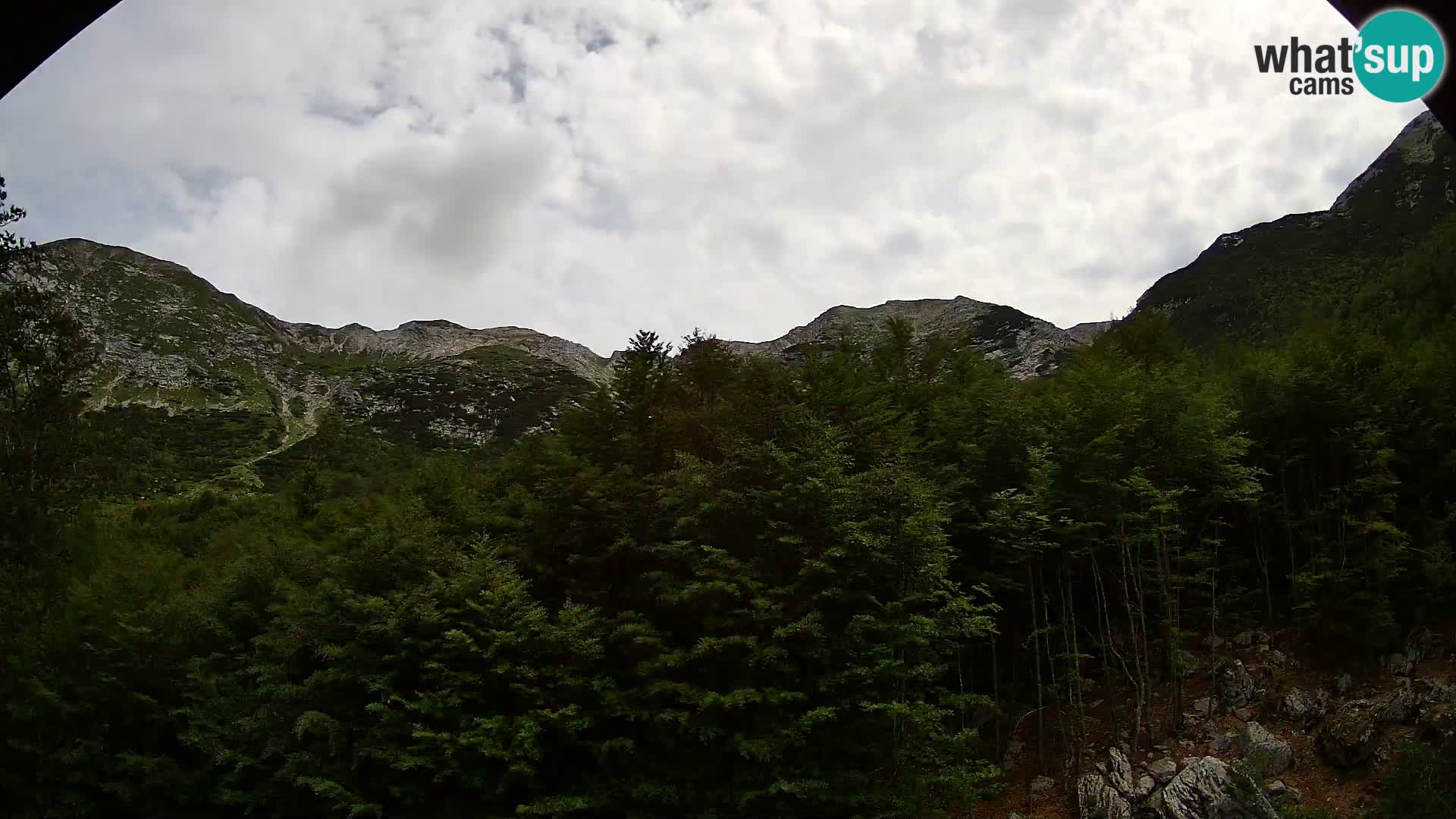 PLANINA RAZOR Live Cam (1315) | vista su Vogel e Globoko