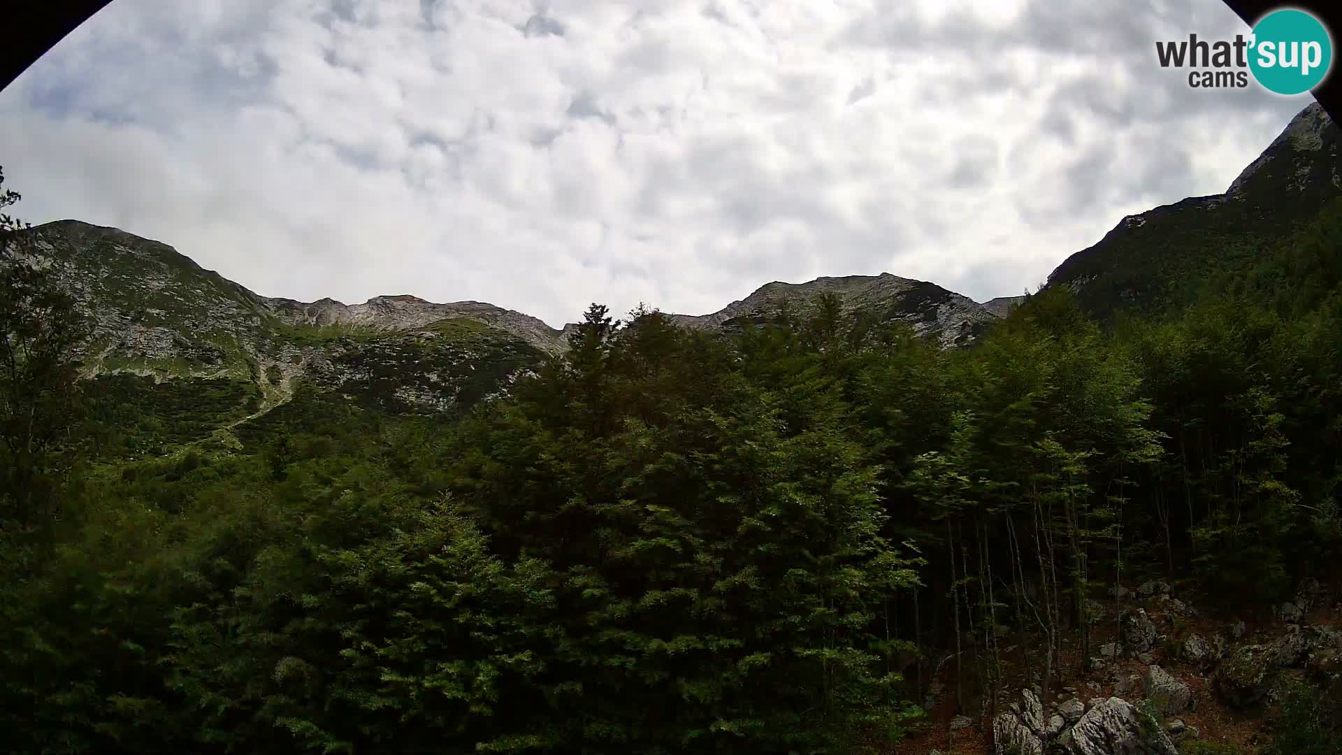 PLANINA RAZOR webcam (1315) | view to Vogel and Globoko