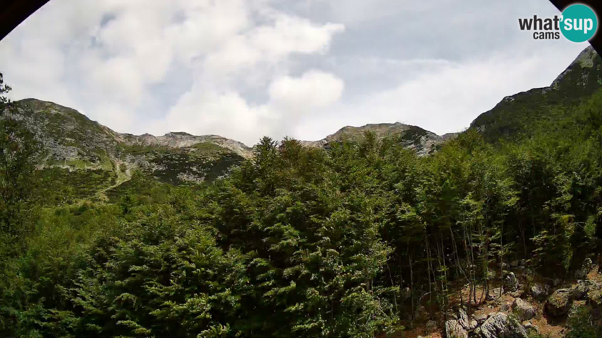 Cámara web PLANINA RAZOR (1315) | vista a Vogel y Globoko
