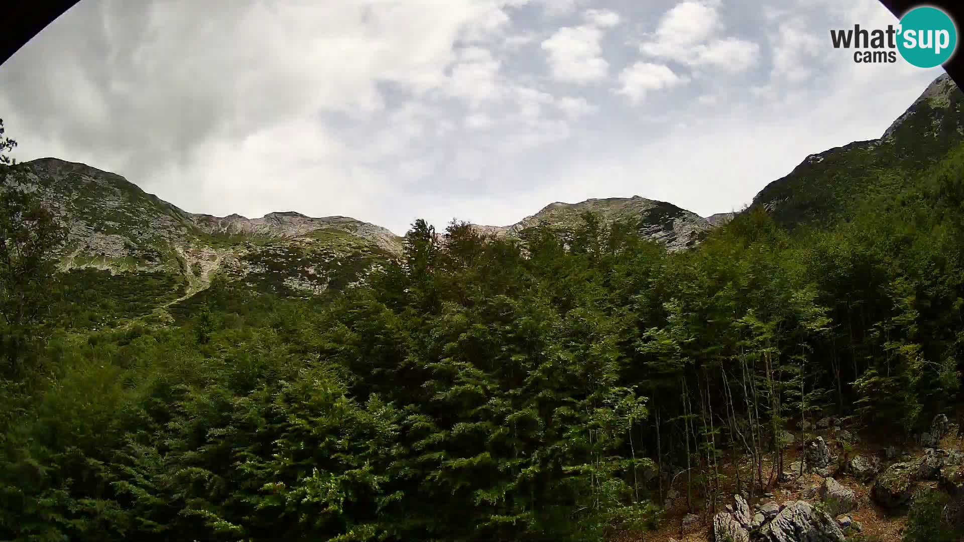 PLANINA RAZOR kamera (1315) | pogled na Vogel in Globoko