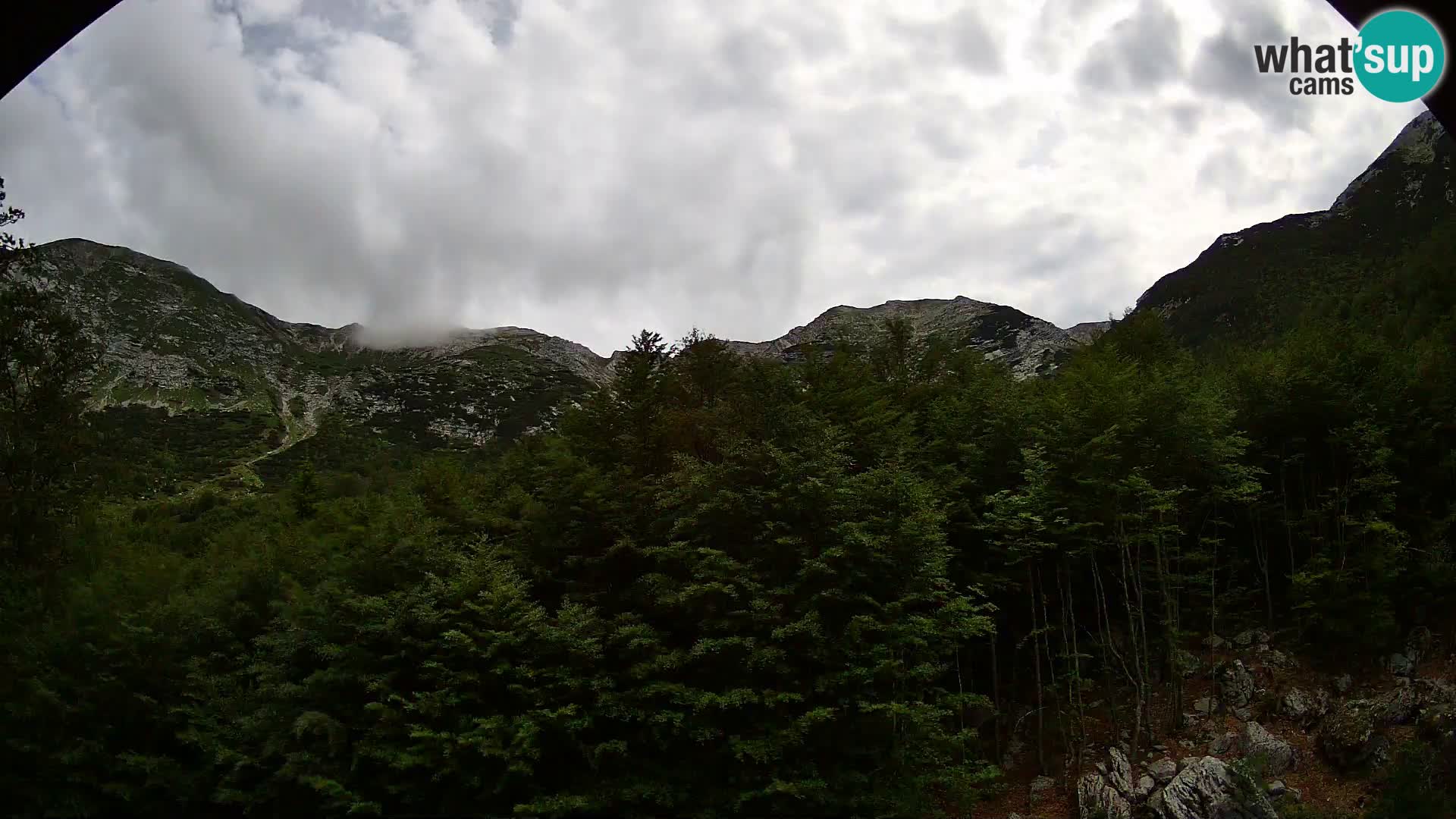Livecam PLANINA RAZOR (1315) | vue sur Vogel et Globoko