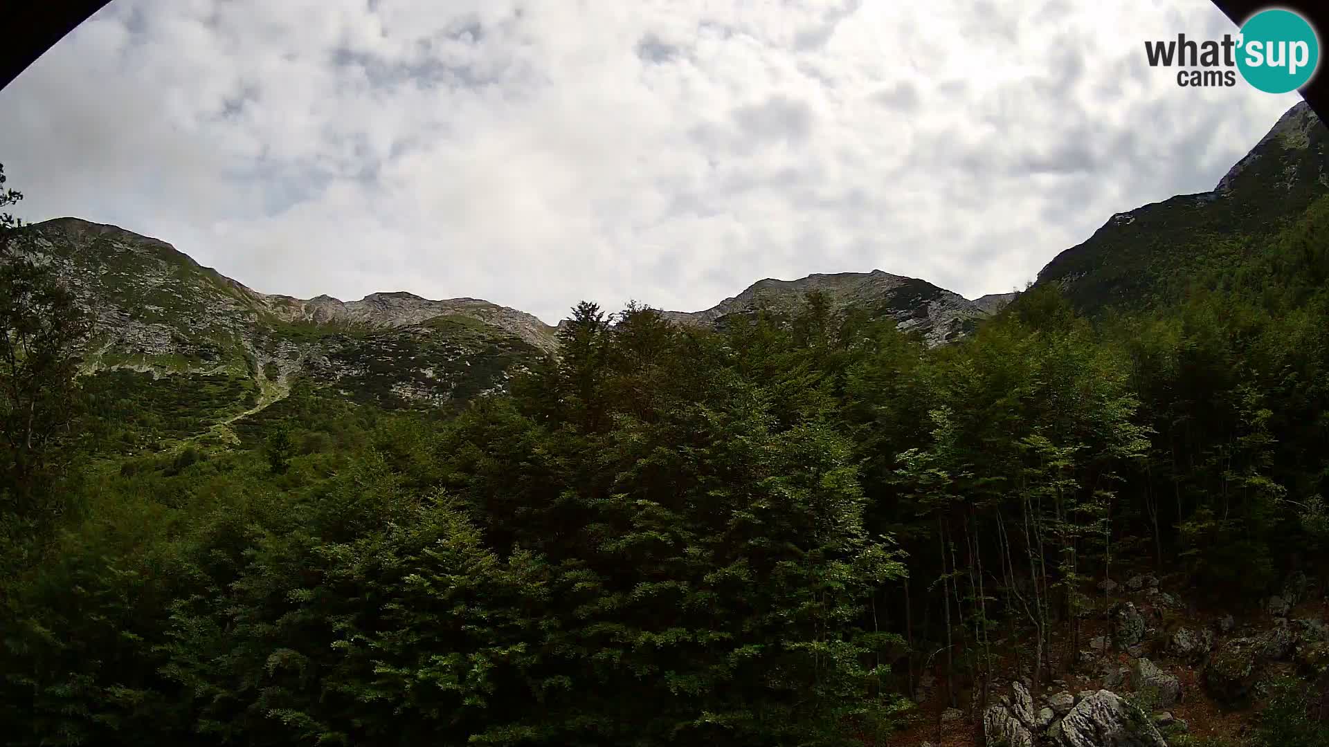 PLANINA RAZOR Live Cam (1315) | vista su Vogel e Globoko
