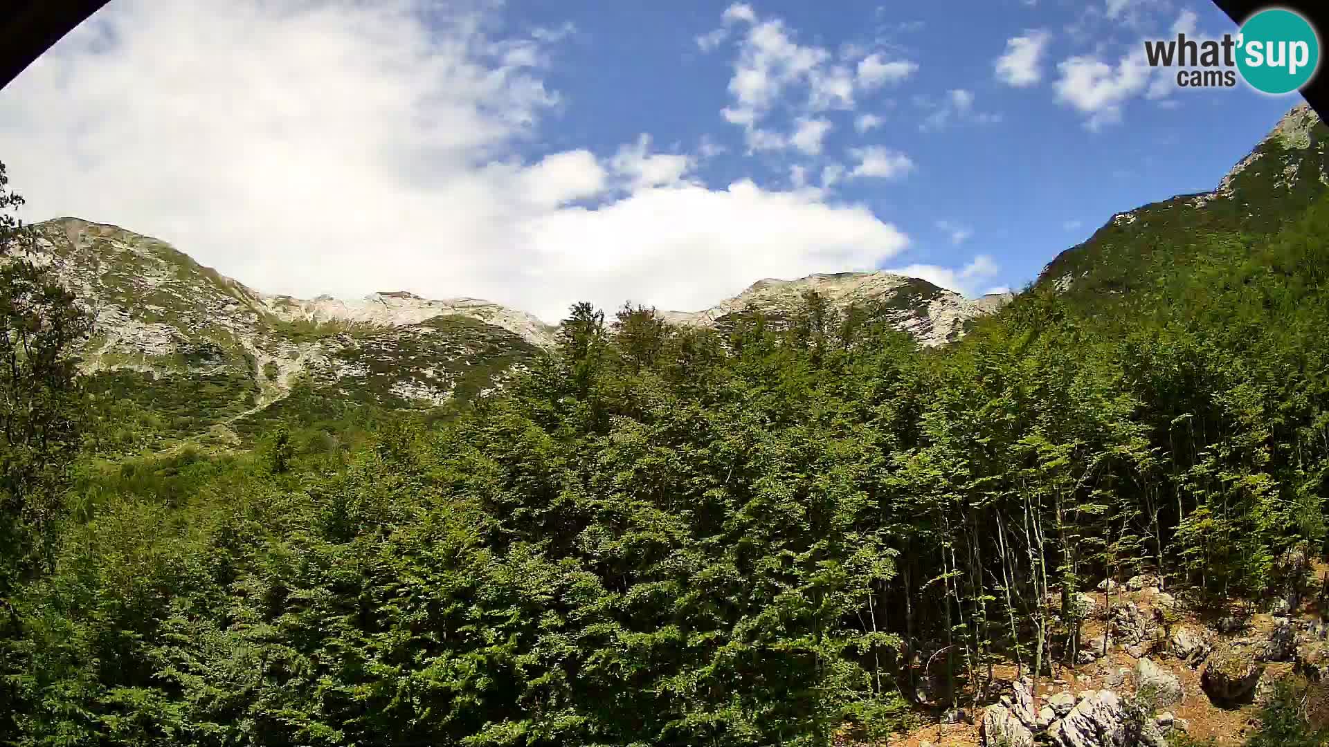 PLANINA RAZOR Live Cam (1315) | vista su Vogel e Globoko