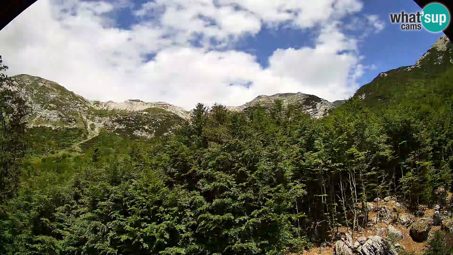 PLANINA RAZOR web kamera (1315) | pogled na Vogel i Globoko