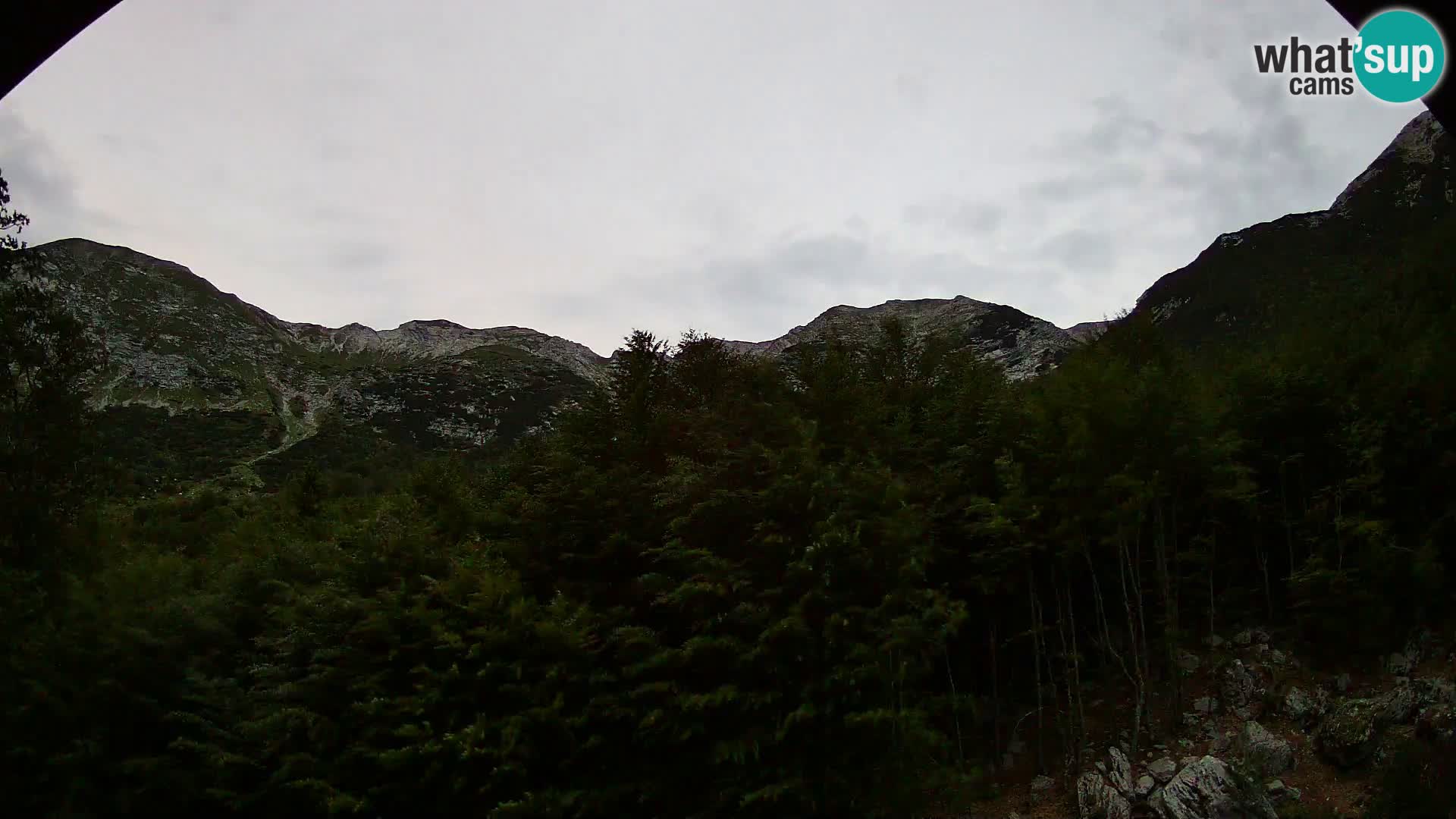 Webcam PLANINA RAZOR (1315) | Blick auf Vogel und Globoko