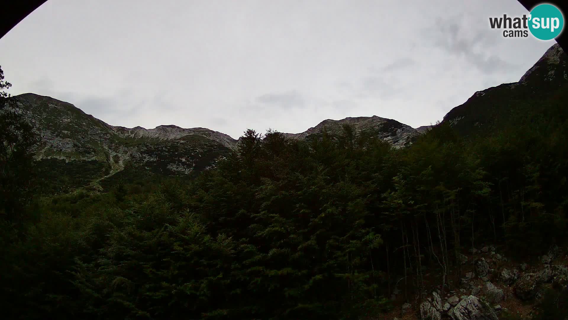 Webcam PLANINA RAZOR (1315) | Blick auf Vogel und Globoko