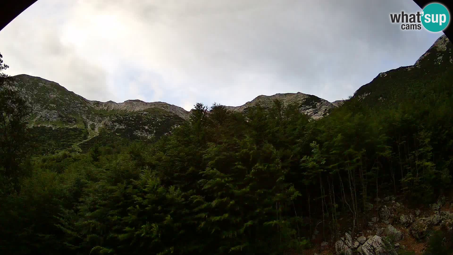 Livecam PLANINA RAZOR (1315) | vue sur Vogel et Globoko