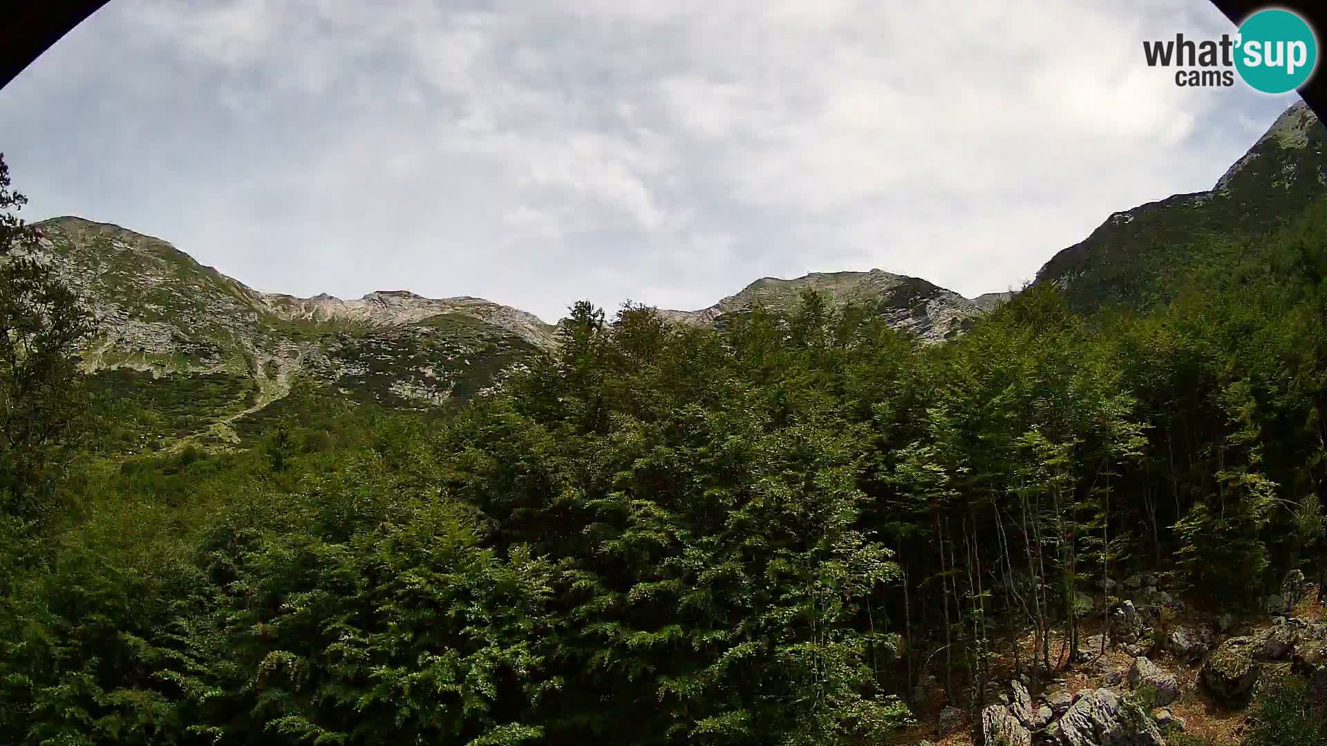 PLANINA RAZOR web kamera (1315) | pogled na Vogel i Globoko