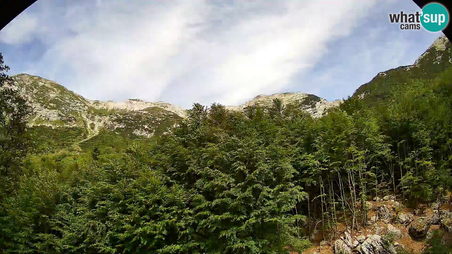 PLANINA RAZOR web kamera (1315) | pogled na Vogel i Globoko