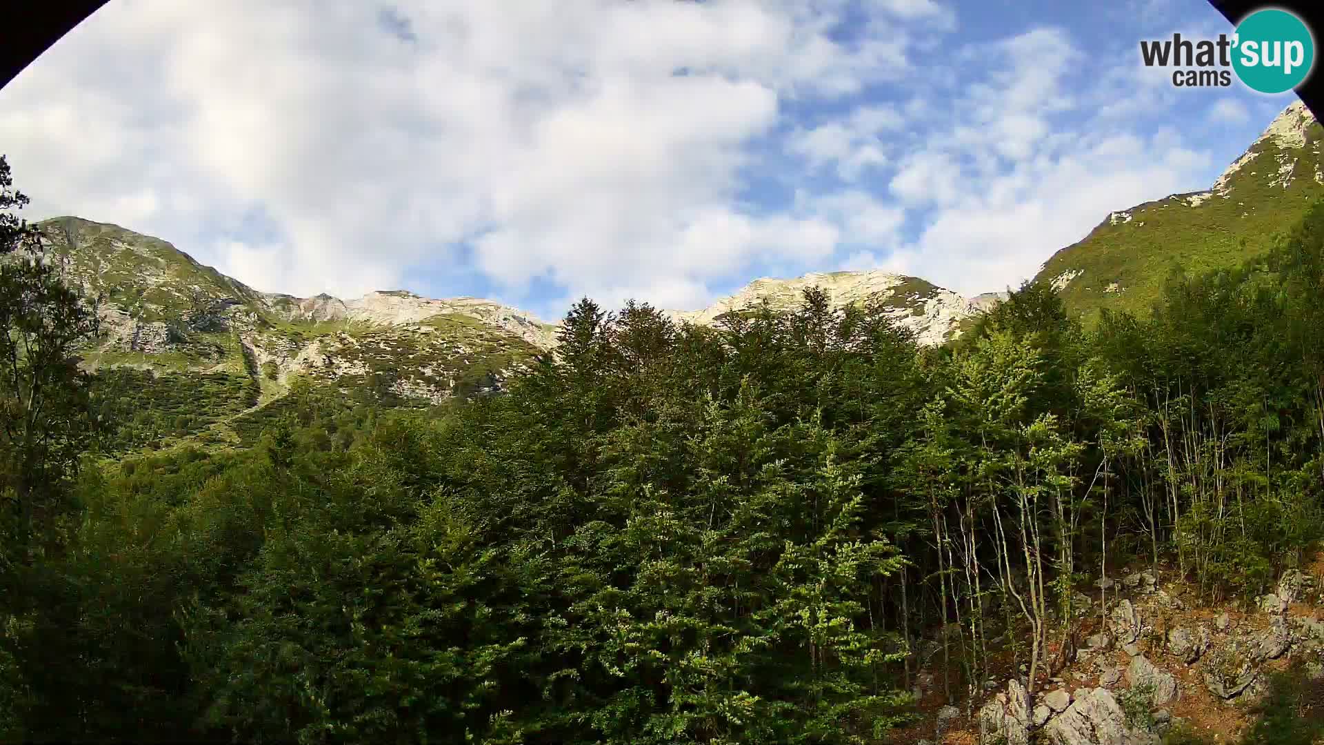 Webcam PLANINA RAZOR (1315) | Blick auf Vogel und Globoko