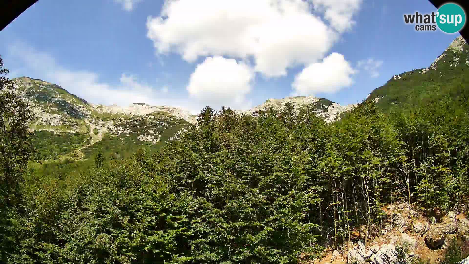 PLANINA RAZOR kamera (1315) | pogled na Vogel in Globoko