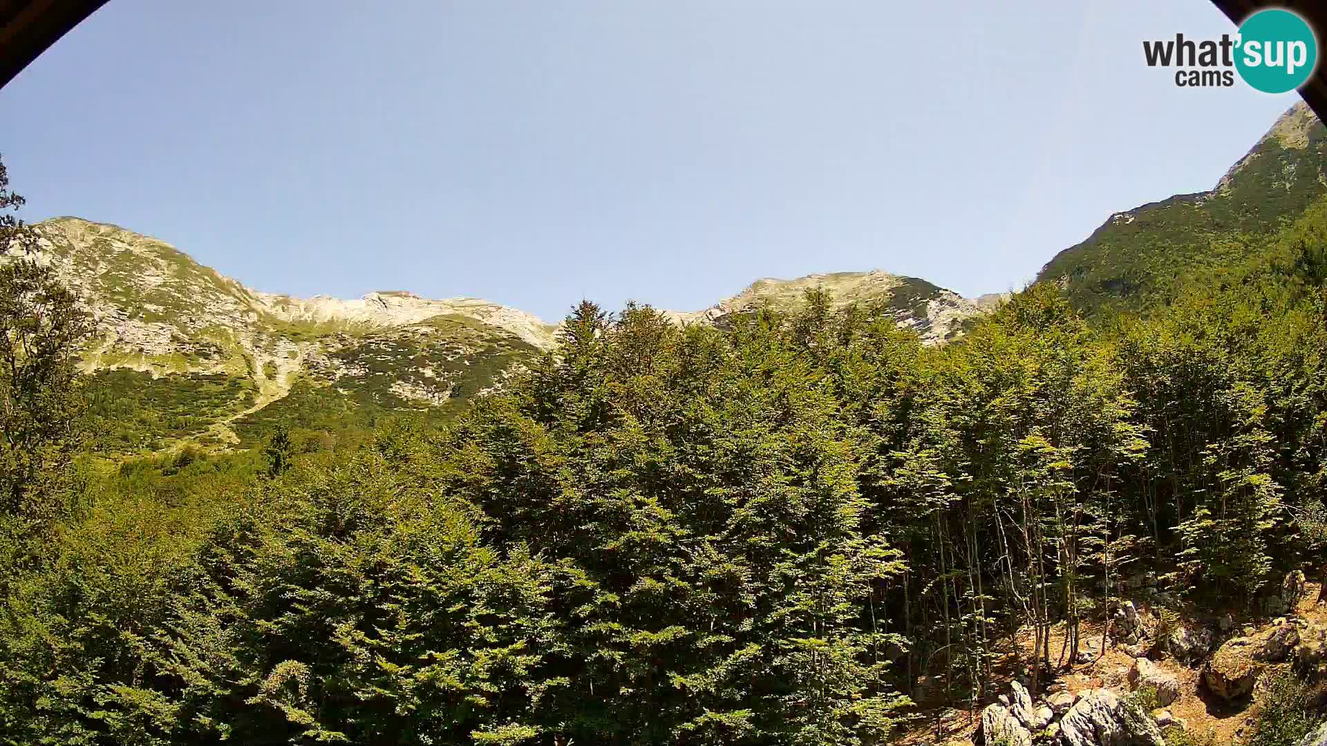 Livecam PLANINA RAZOR (1315) | vue sur Vogel et Globoko