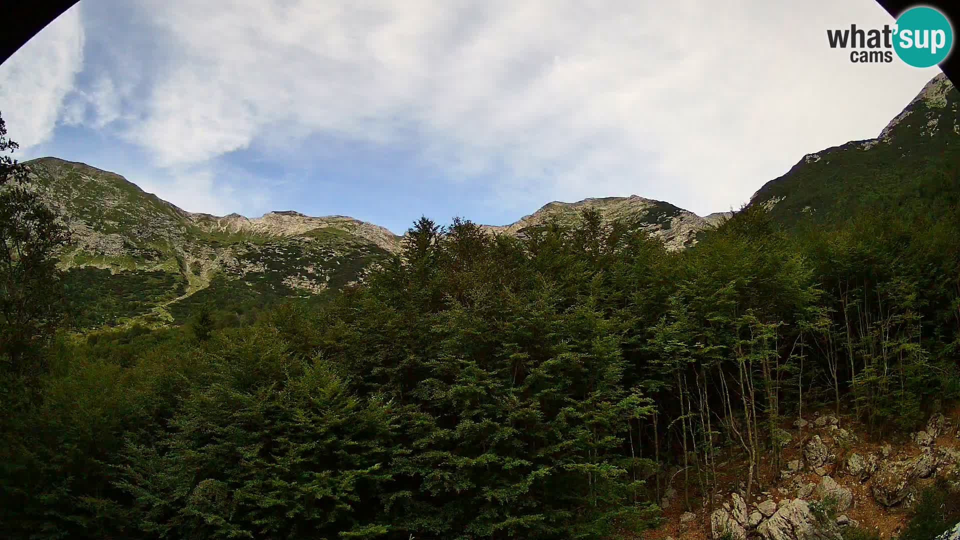 PLANINA RAZOR kamera (1315) | pogled na Vogel in Globoko