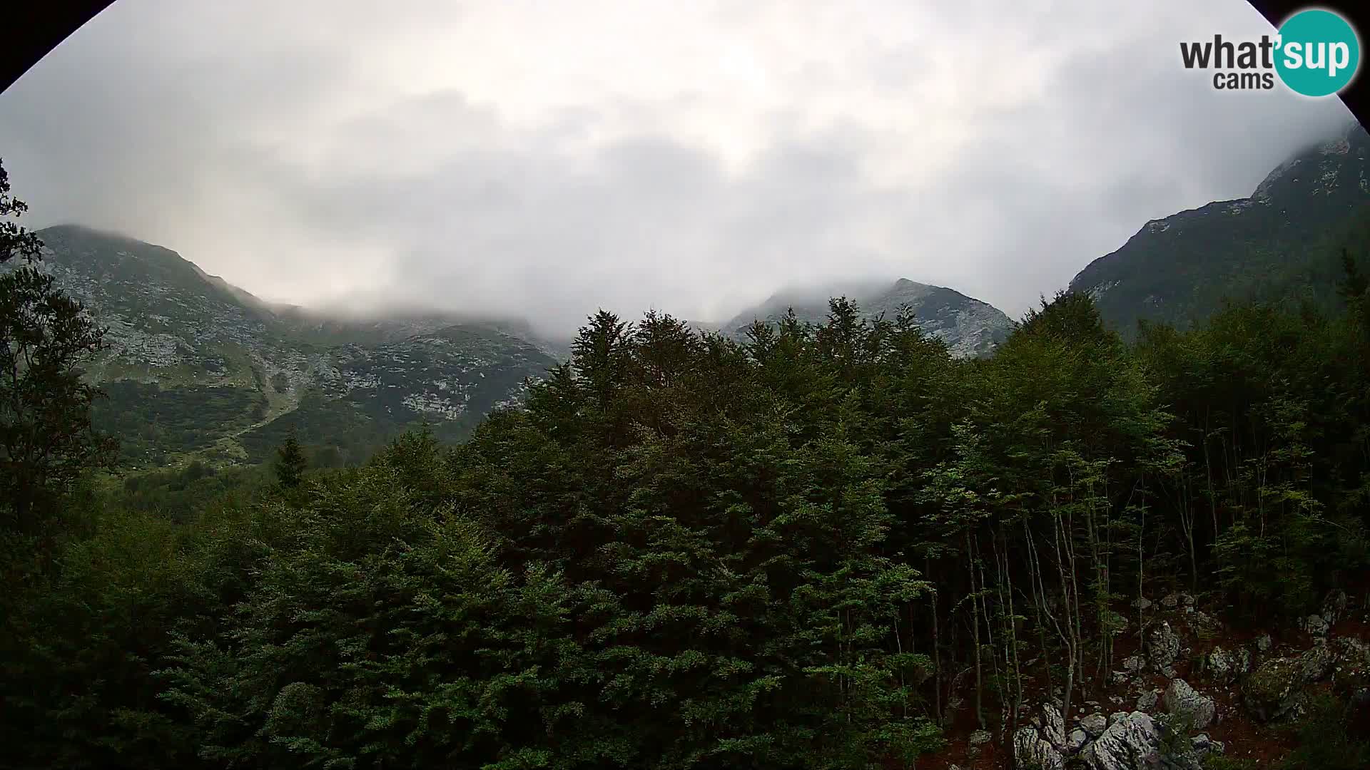 PLANINA RAZOR kamera (1315) | pogled na Vogel in Globoko