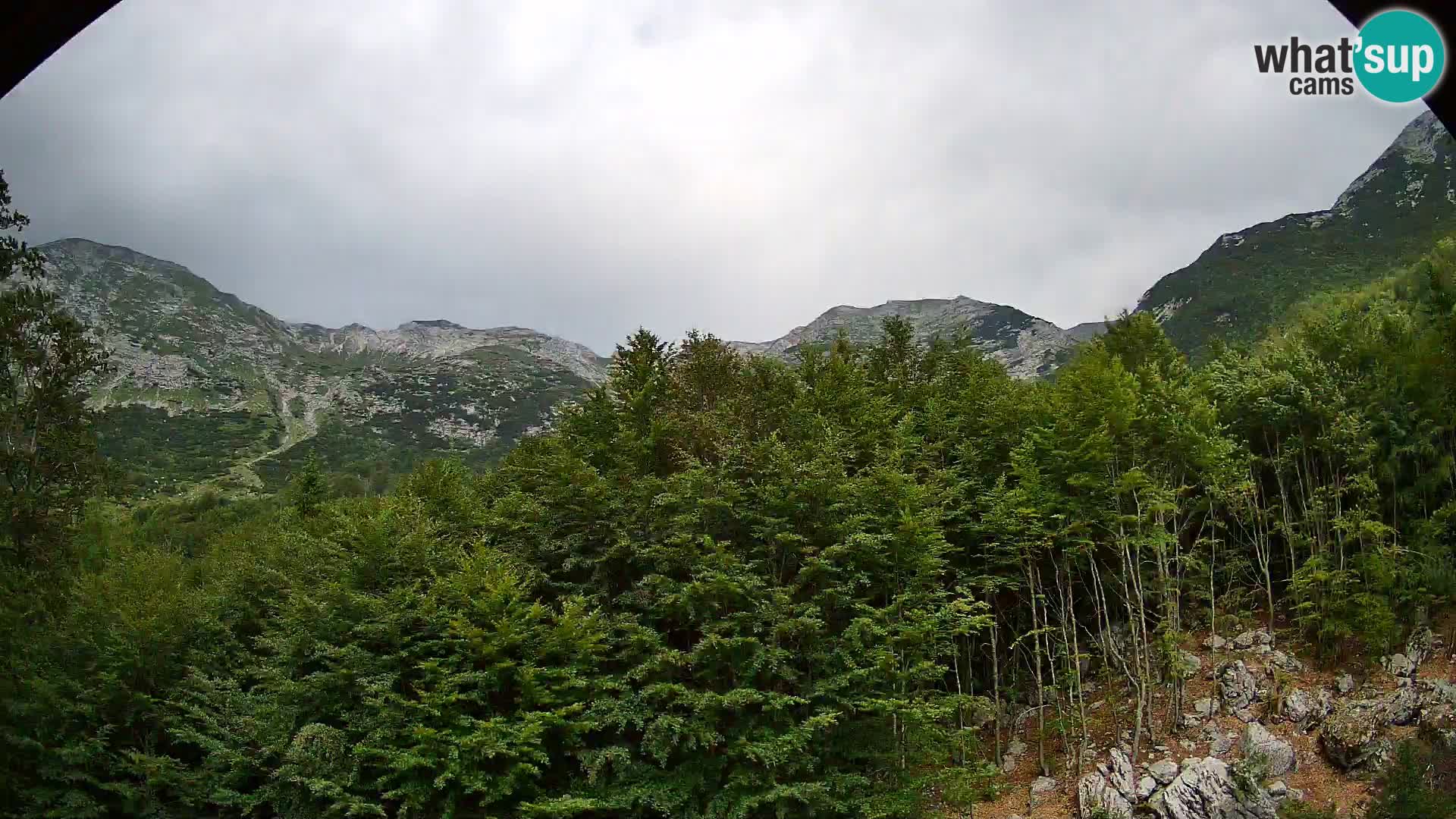 PLANINA RAZOR webcam (1315) | view to Vogel and Globoko