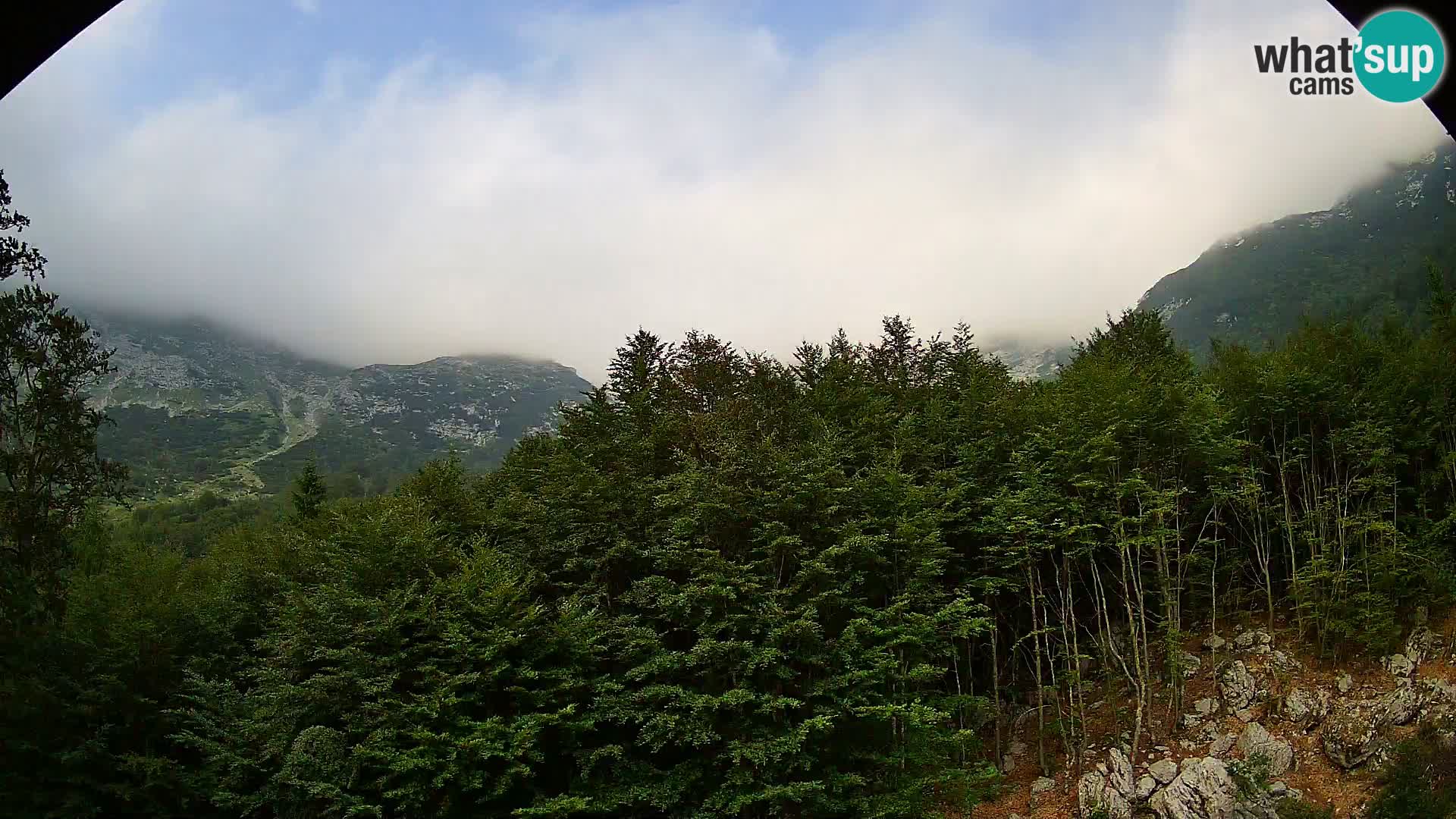 PLANINA RAZOR webcam (1315) | view to Vogel and Globoko