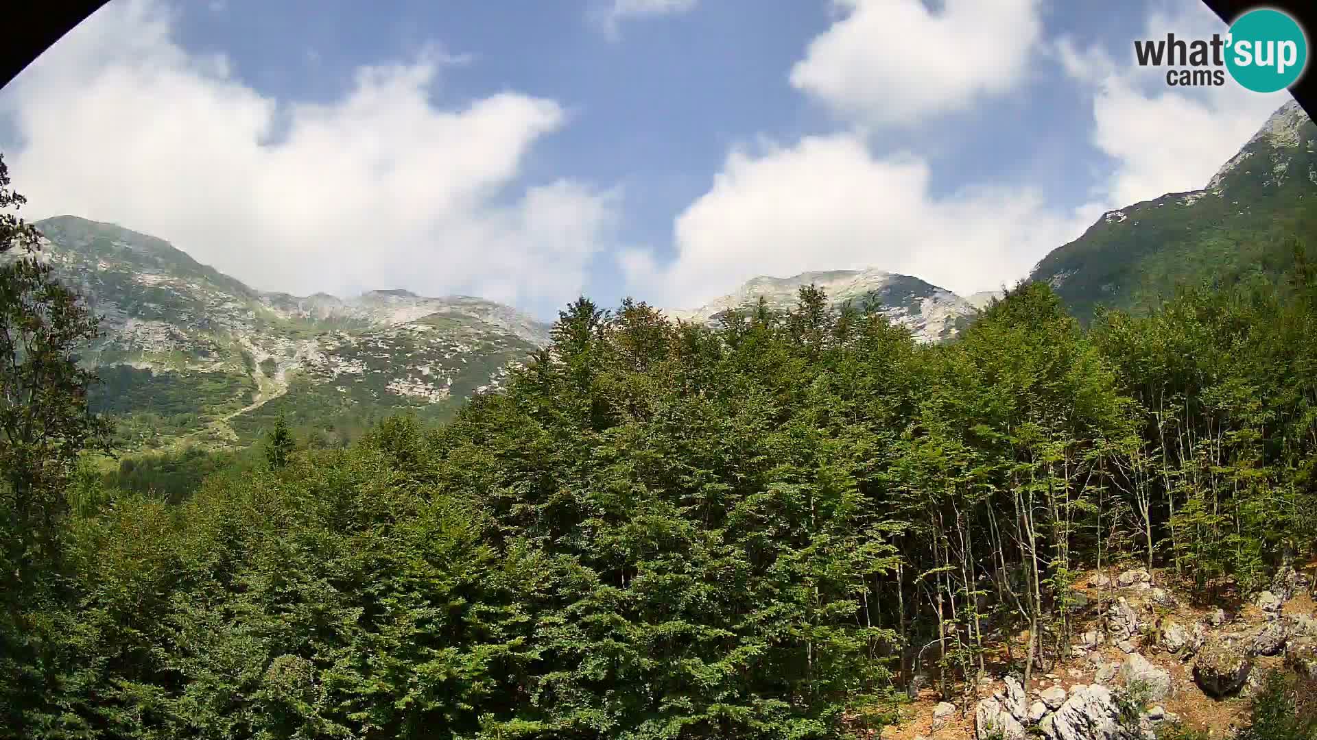Webcam PLANINA RAZOR (1315) | Blick auf Vogel und Globoko