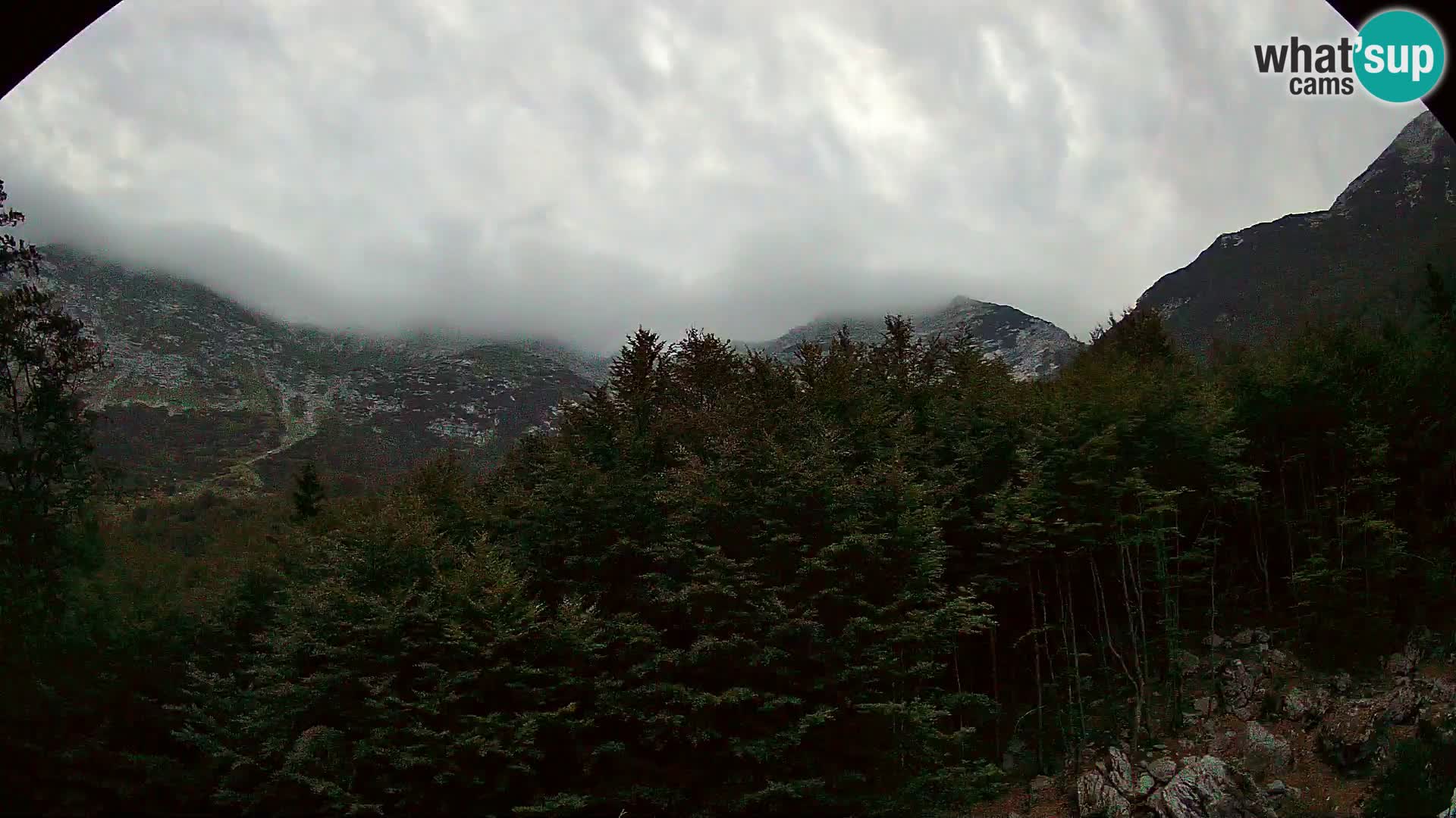 PLANINA RAZOR Live Cam (1315) | vista su Vogel e Globoko