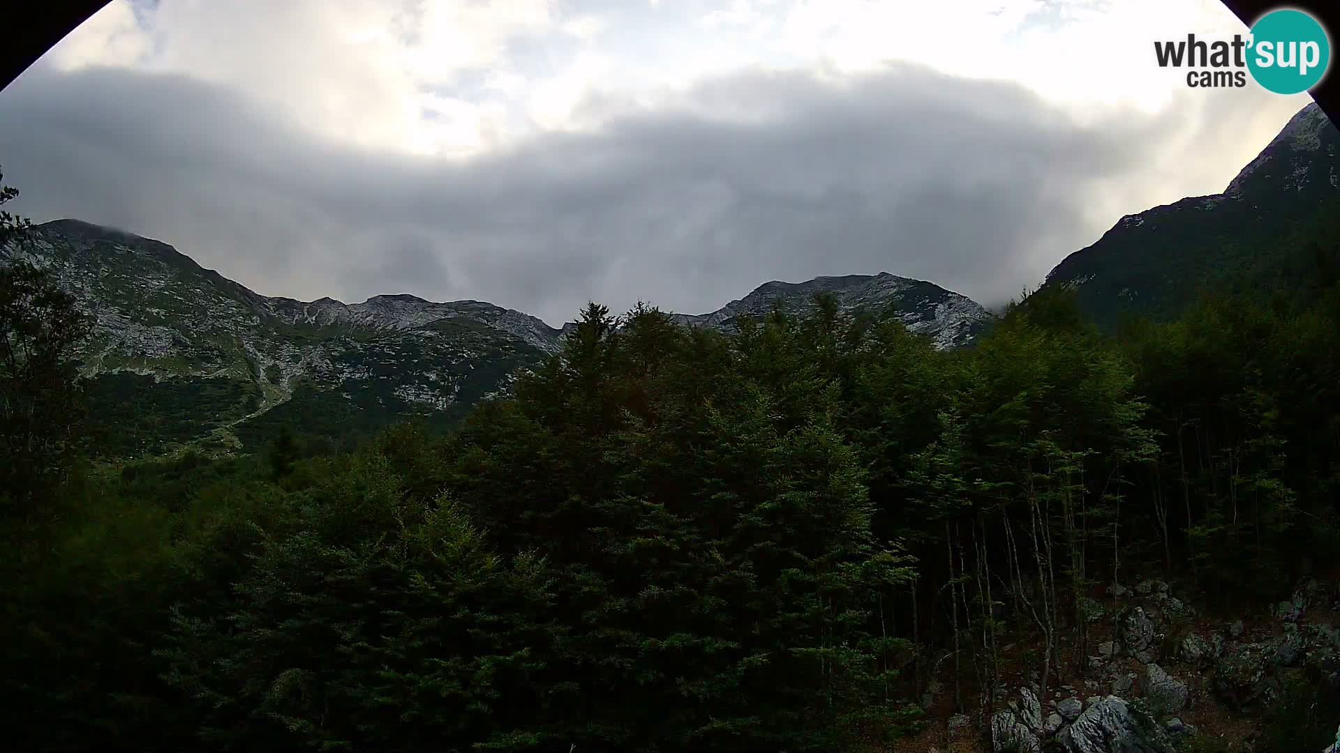 Webcam PLANINA RAZOR (1315) | Blick auf Vogel und Globoko
