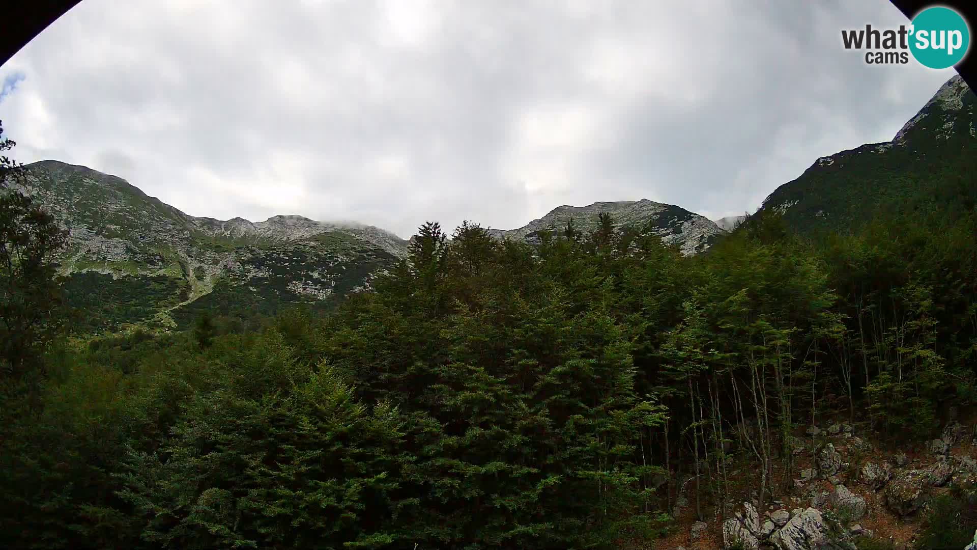 PLANINA RAZOR webcam (1315) | view to Vogel and Globoko