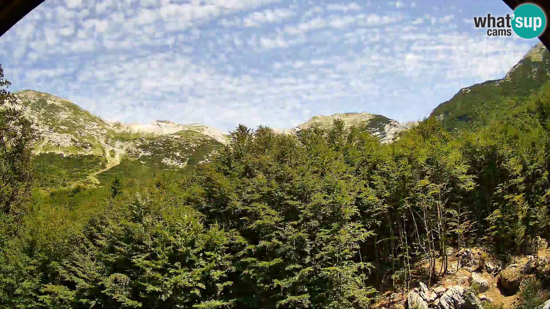 Webcam PLANINA RAZOR (1315) | Blick auf Vogel und Globoko