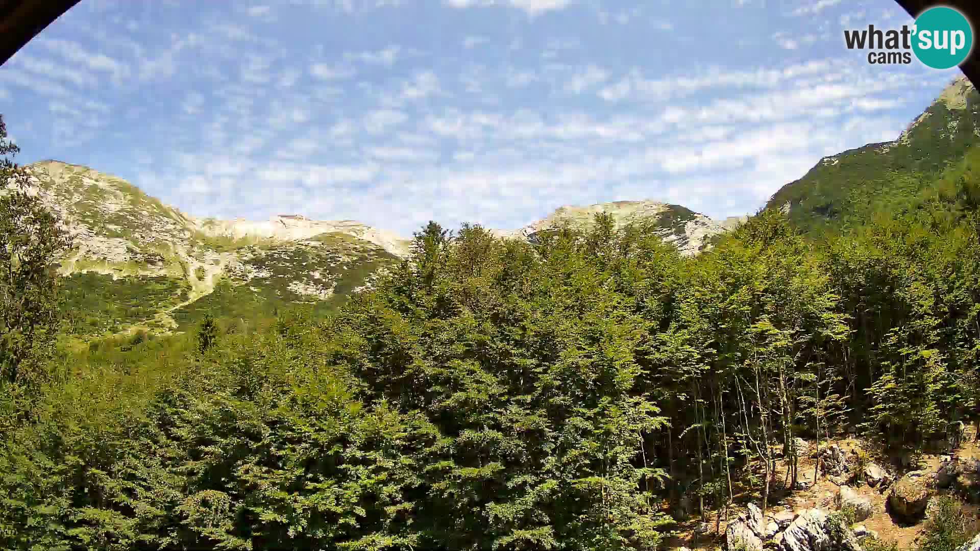 PLANINA RAZOR Live Cam (1315) | vista su Vogel e Globoko