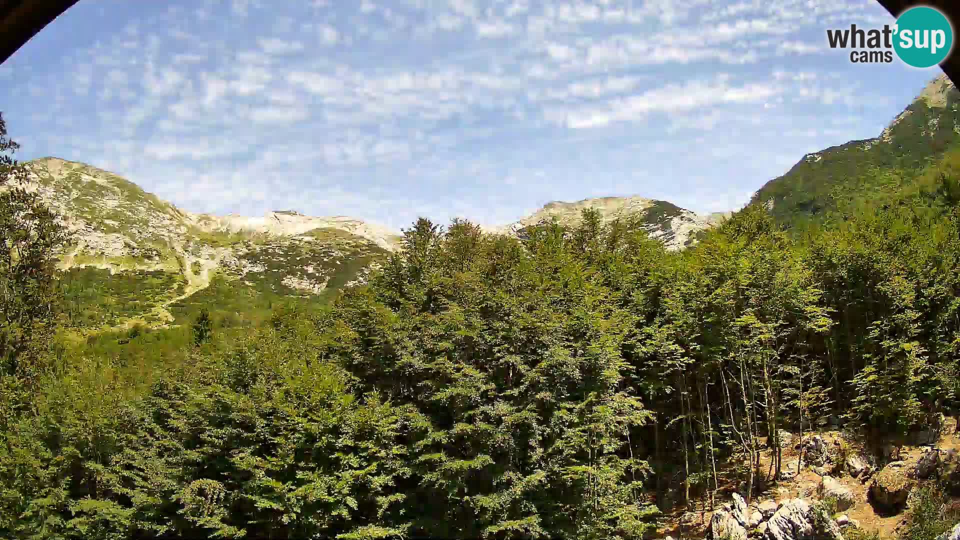 Webcam PLANINA RAZOR (1315) | Blick auf Vogel und Globoko