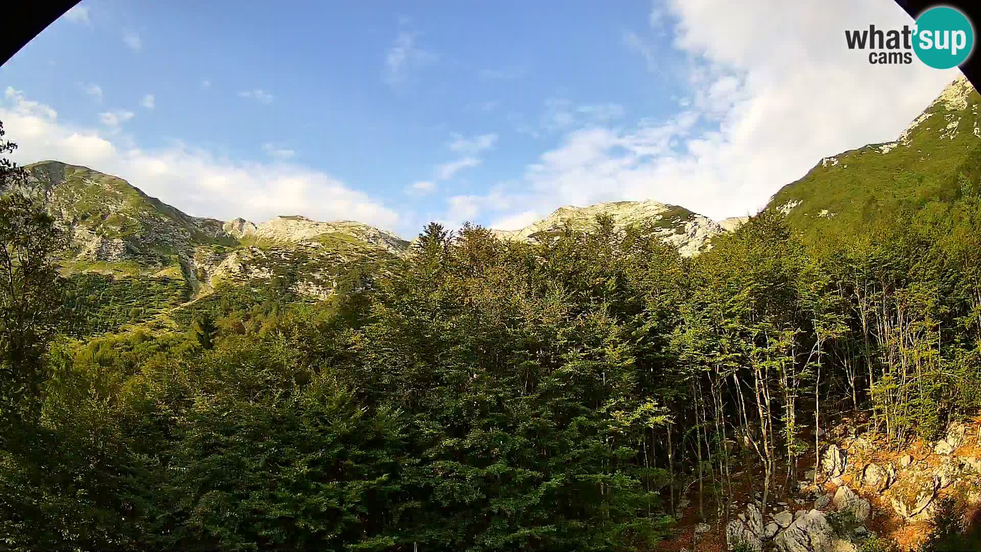 PLANINA RAZOR kamera (1315) | pogled na Vogel in Globoko
