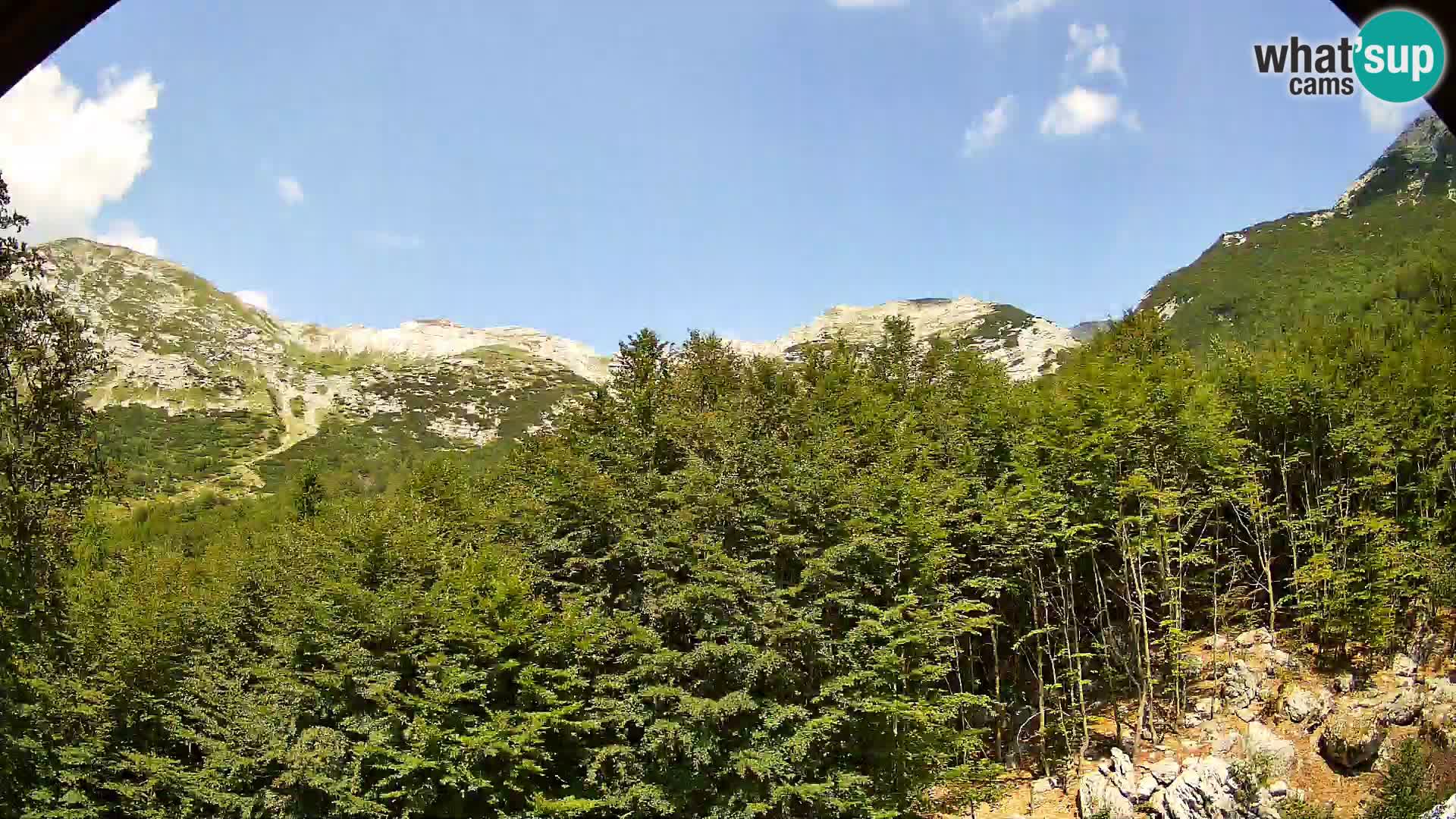 PLANINA RAZOR Live Cam (1315) | vista su Vogel e Globoko