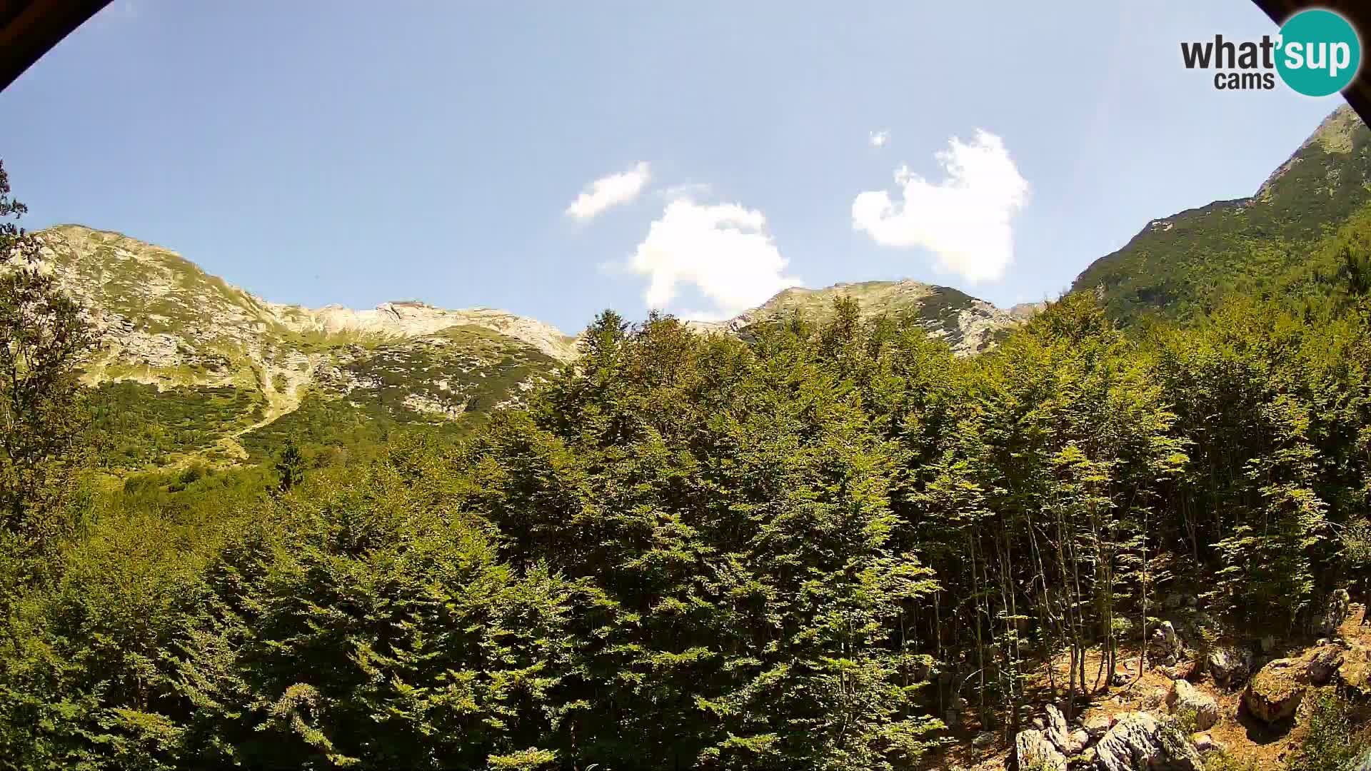 Livecam PLANINA RAZOR (1315) | vue sur Vogel et Globoko
