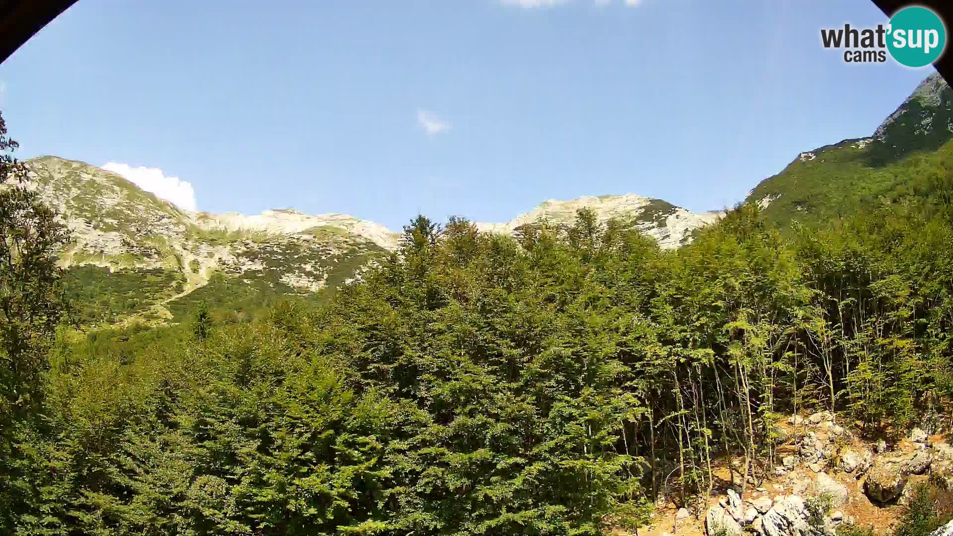 Livecam PLANINA RAZOR (1315) | vue sur Vogel et Globoko