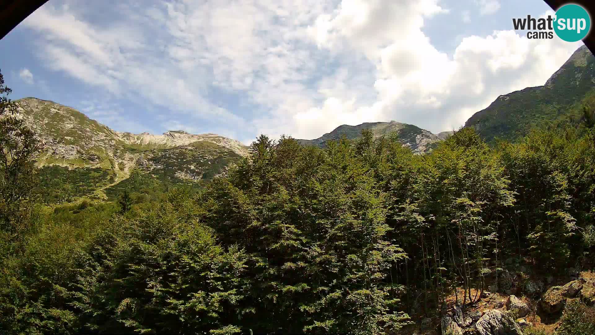 Livecam PLANINA RAZOR (1315) | vue sur Vogel et Globoko