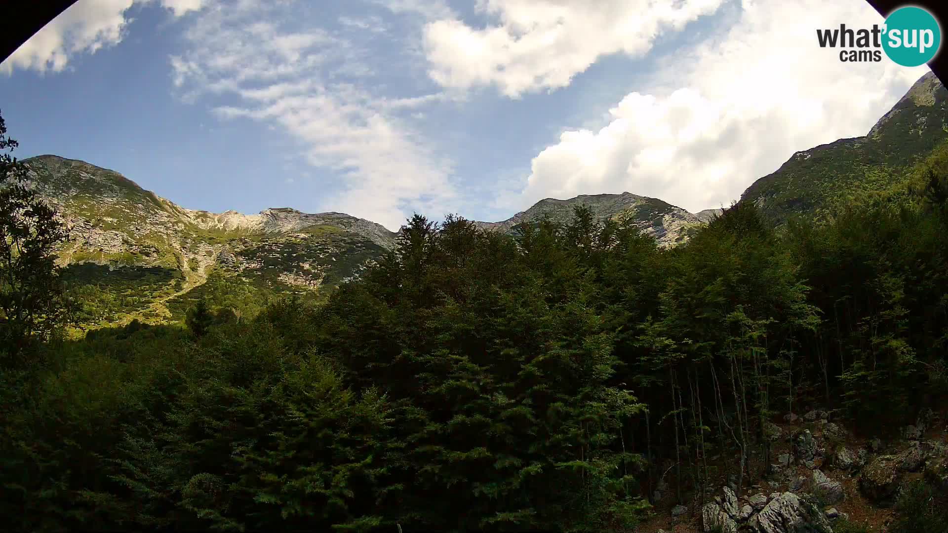 Cámara web PLANINA RAZOR (1315) | vista a Vogel y Globoko
