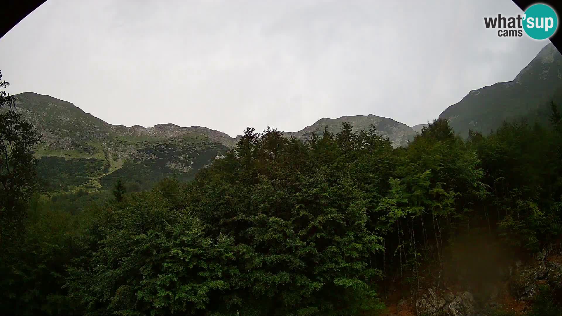 PLANINA RAZOR Live Cam (1315) | vista su Vogel e Globoko