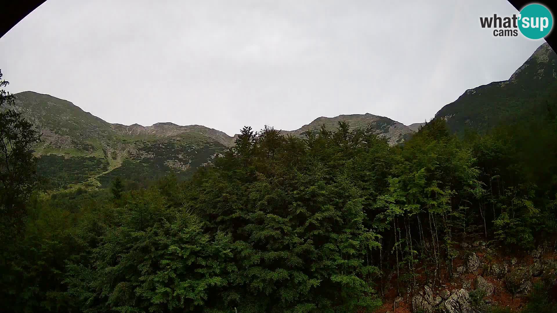 Webcam PLANINA RAZOR (1315) | Blick auf Vogel und Globoko