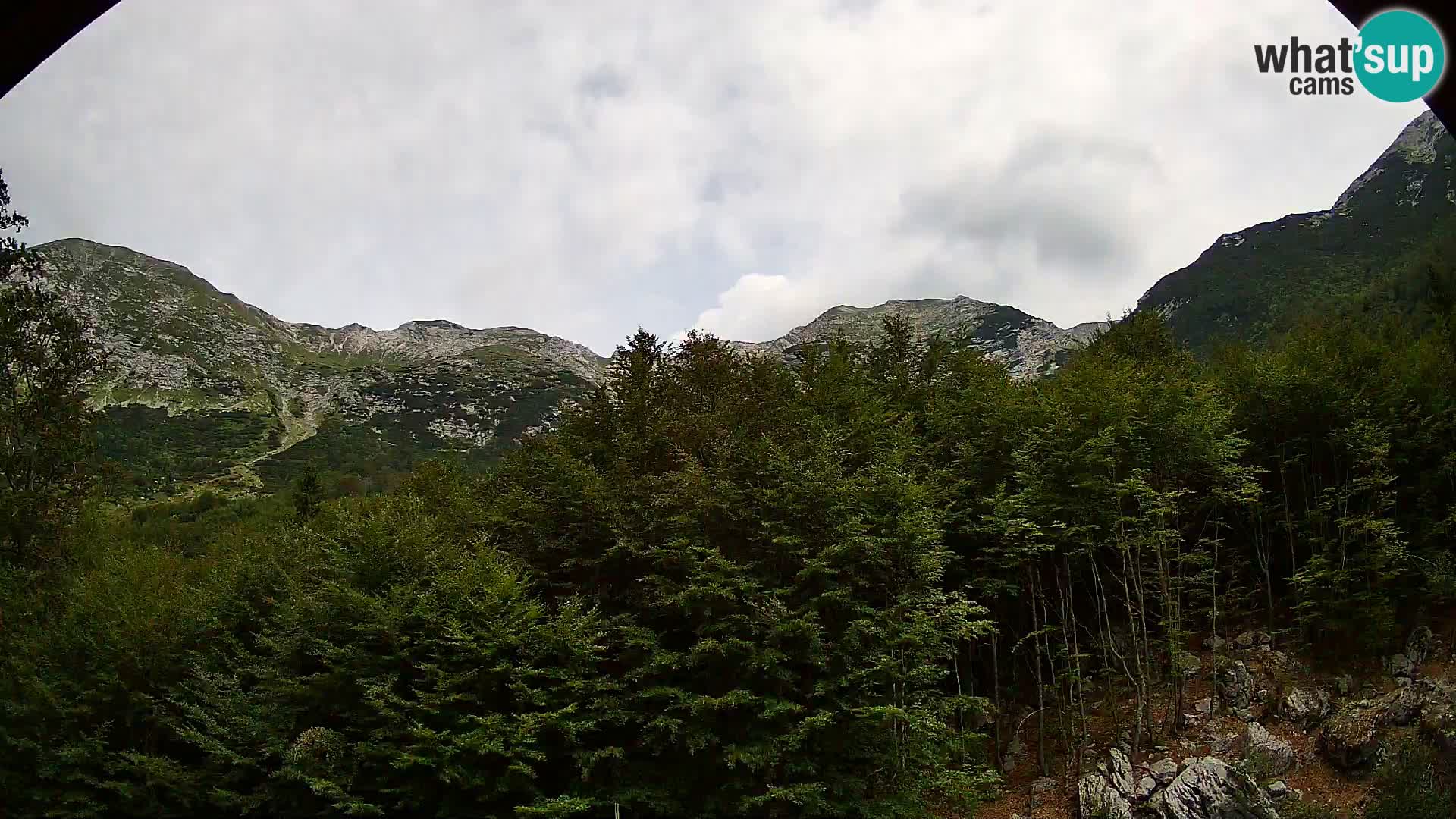 PLANINA RAZOR web kamera (1315) | pogled na Vogel i Globoko