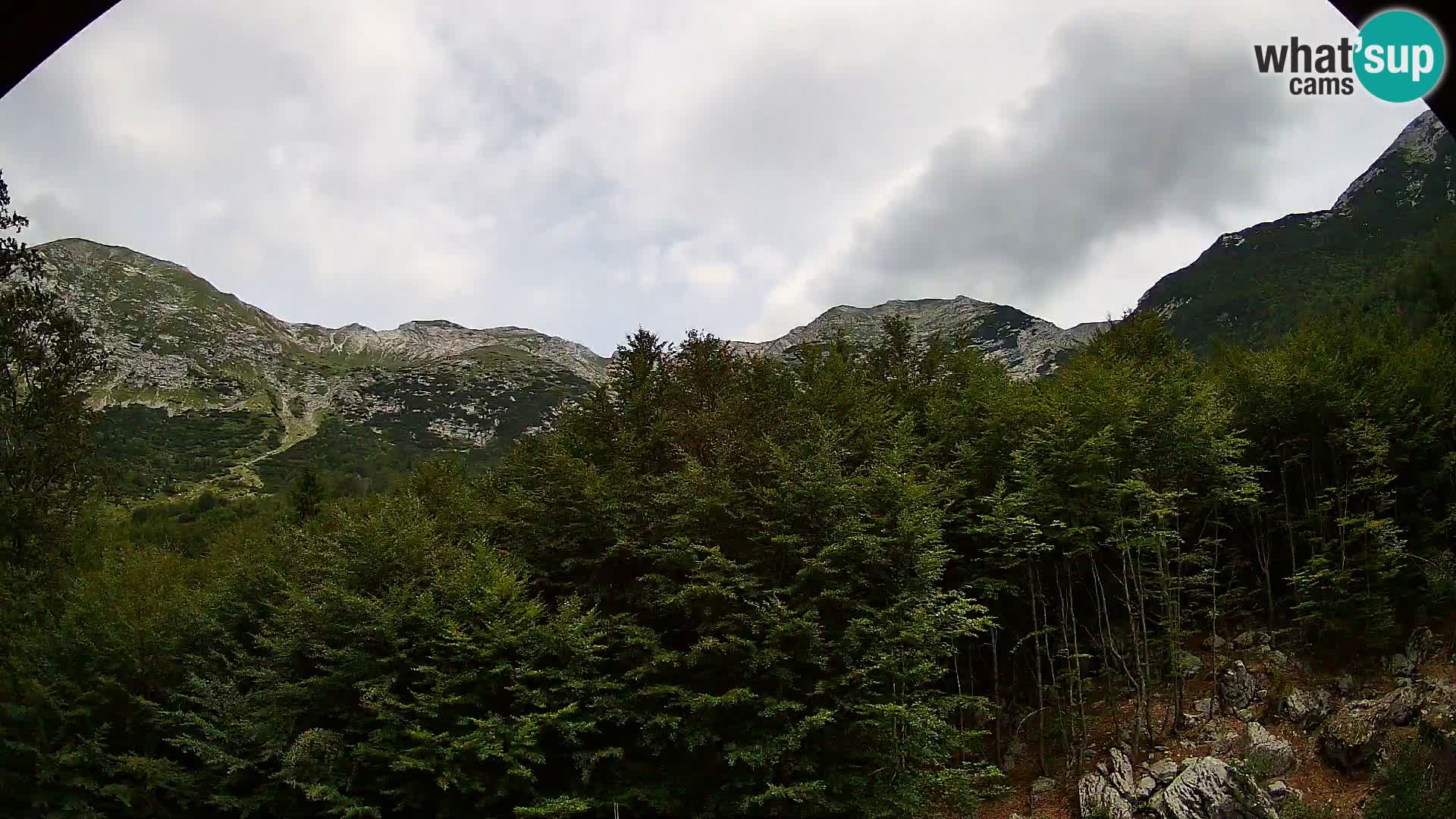 Webcam PLANINA RAZOR (1315) | Blick auf Vogel und Globoko