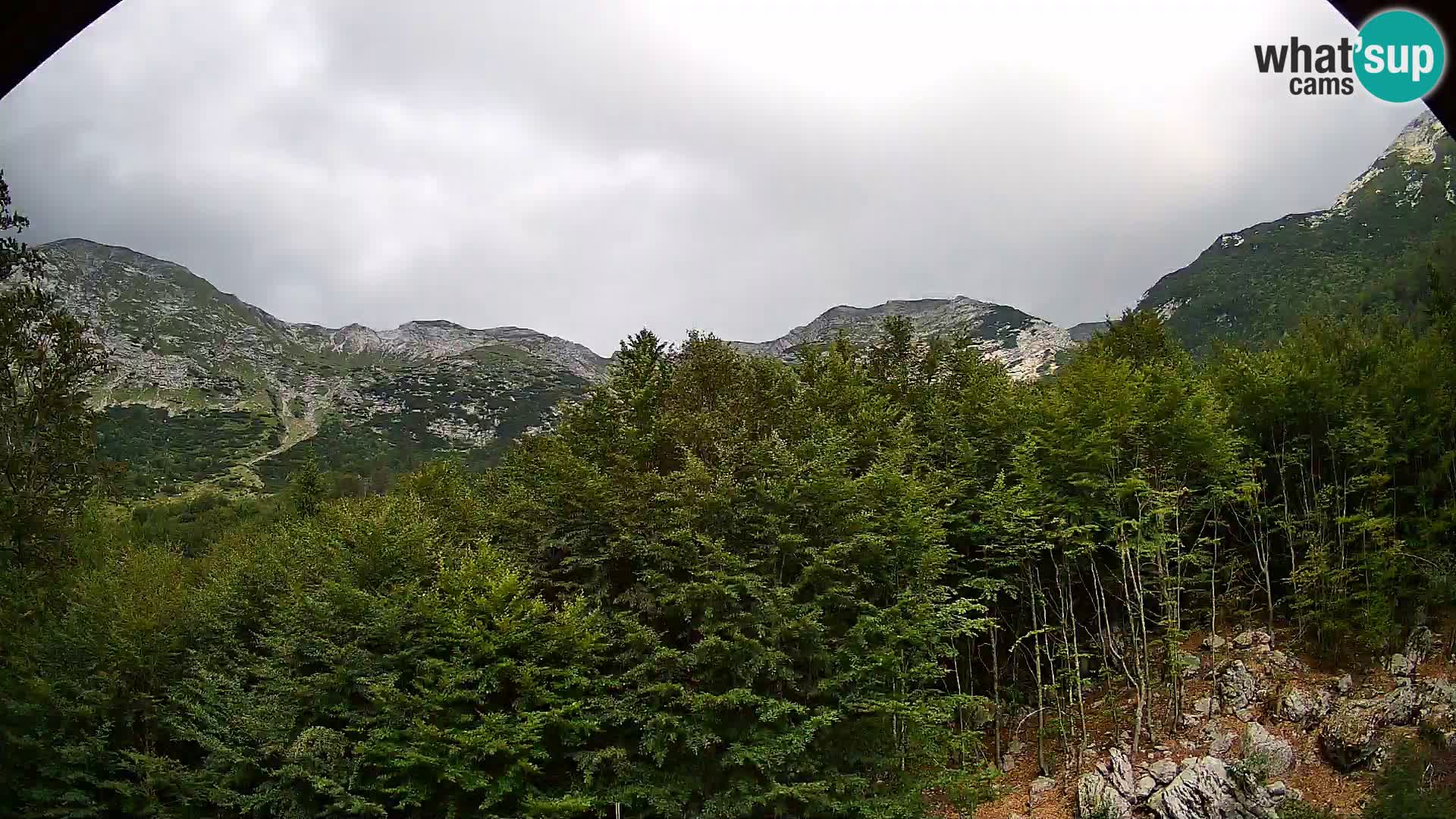 PLANINA RAZOR web kamera (1315) | pogled na Vogel i Globoko