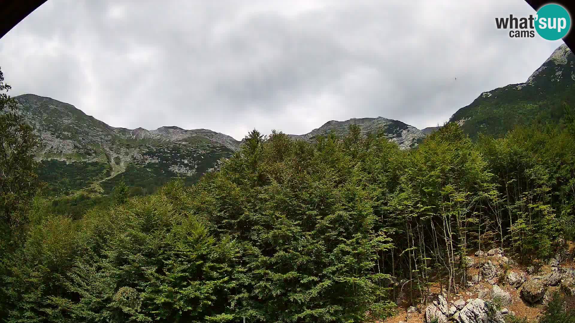 PLANINA RAZOR web kamera (1315) | pogled na Vogel i Globoko