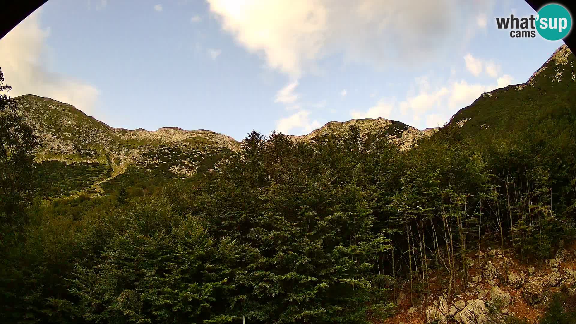 PLANINA RAZOR kamera (1315) | pogled na Vogel in Globoko
