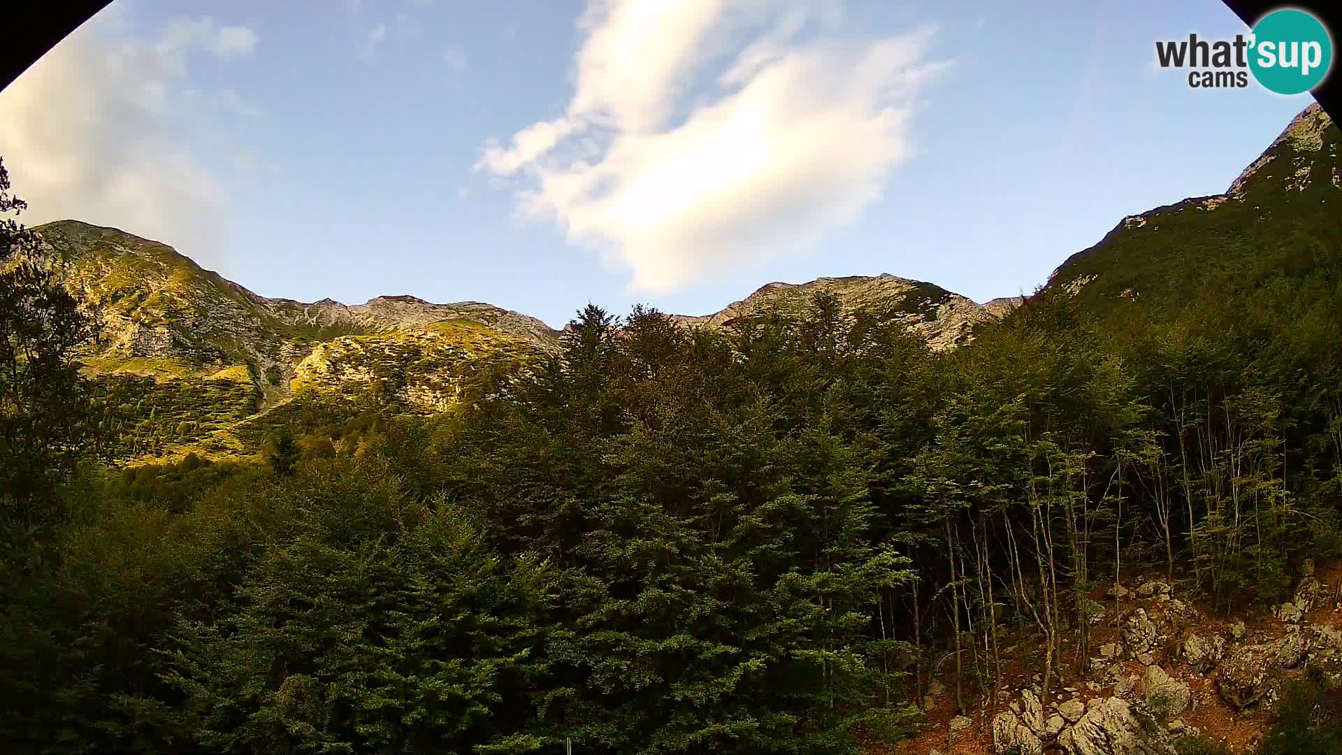 Webcam PLANINA RAZOR (1315) | Blick auf Vogel und Globoko