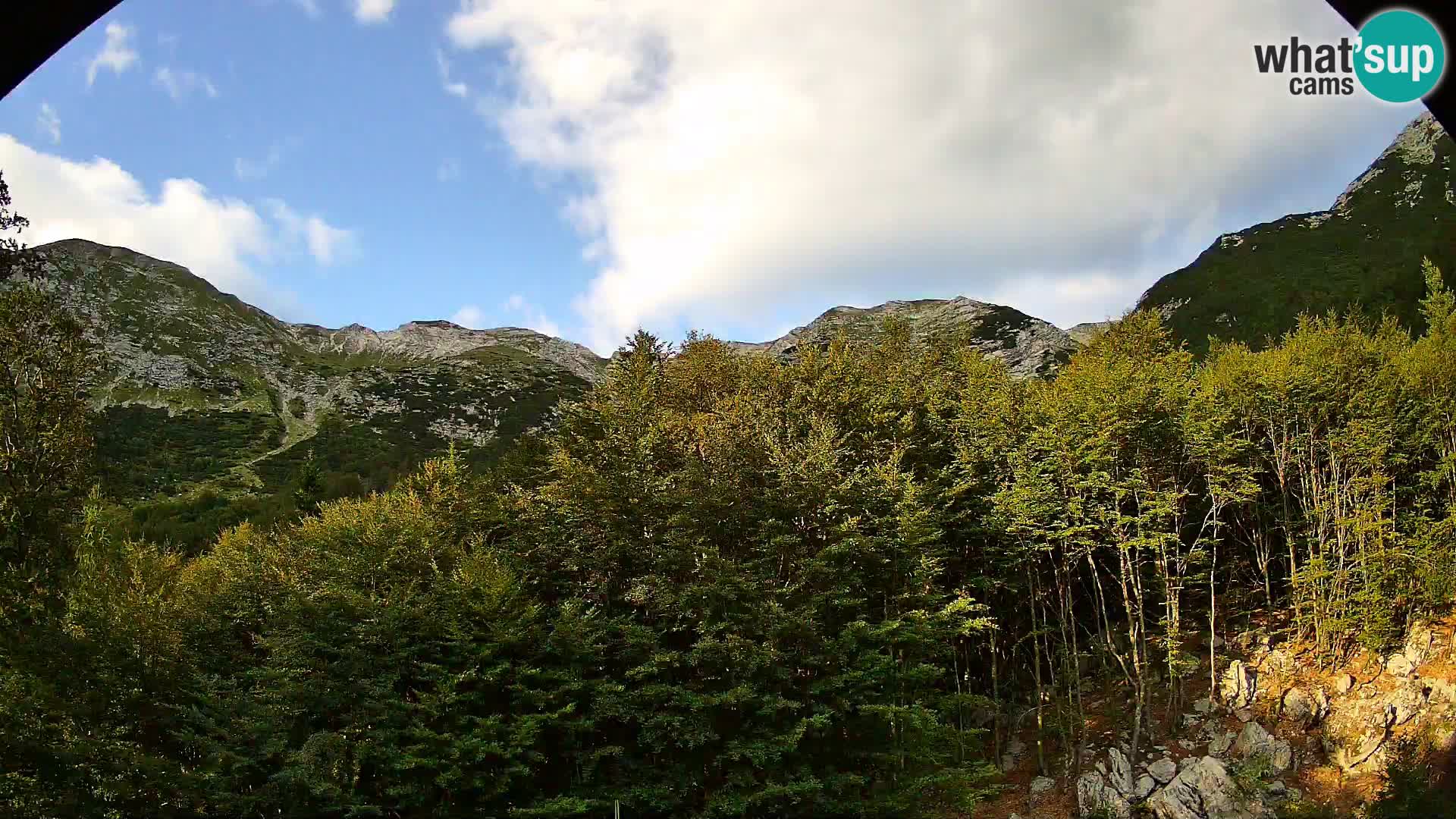 PLANINA RAZOR Live Cam (1315) | vista su Vogel e Globoko